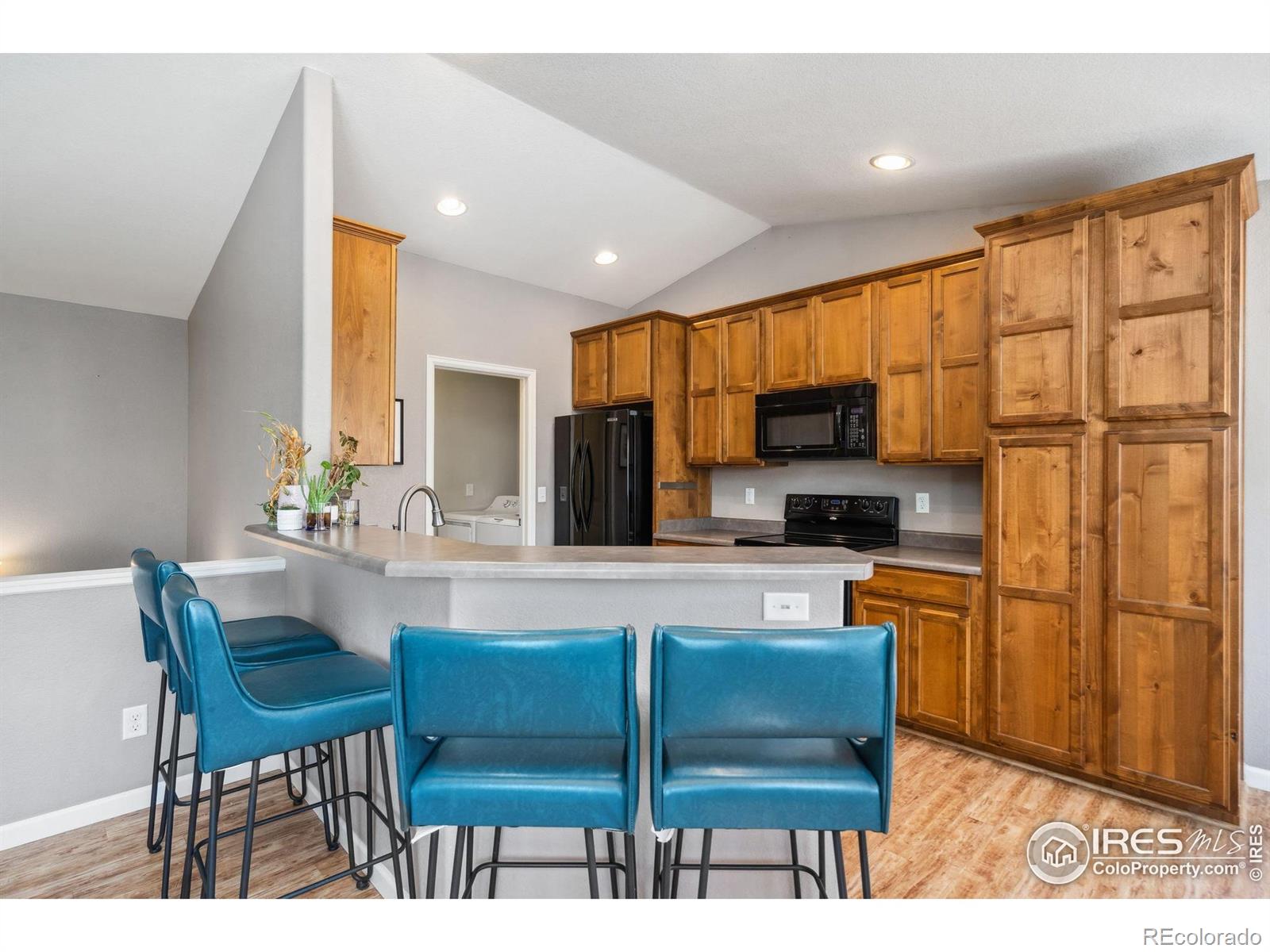 MLS Image #6 for 950  delphinus place,loveland, Colorado