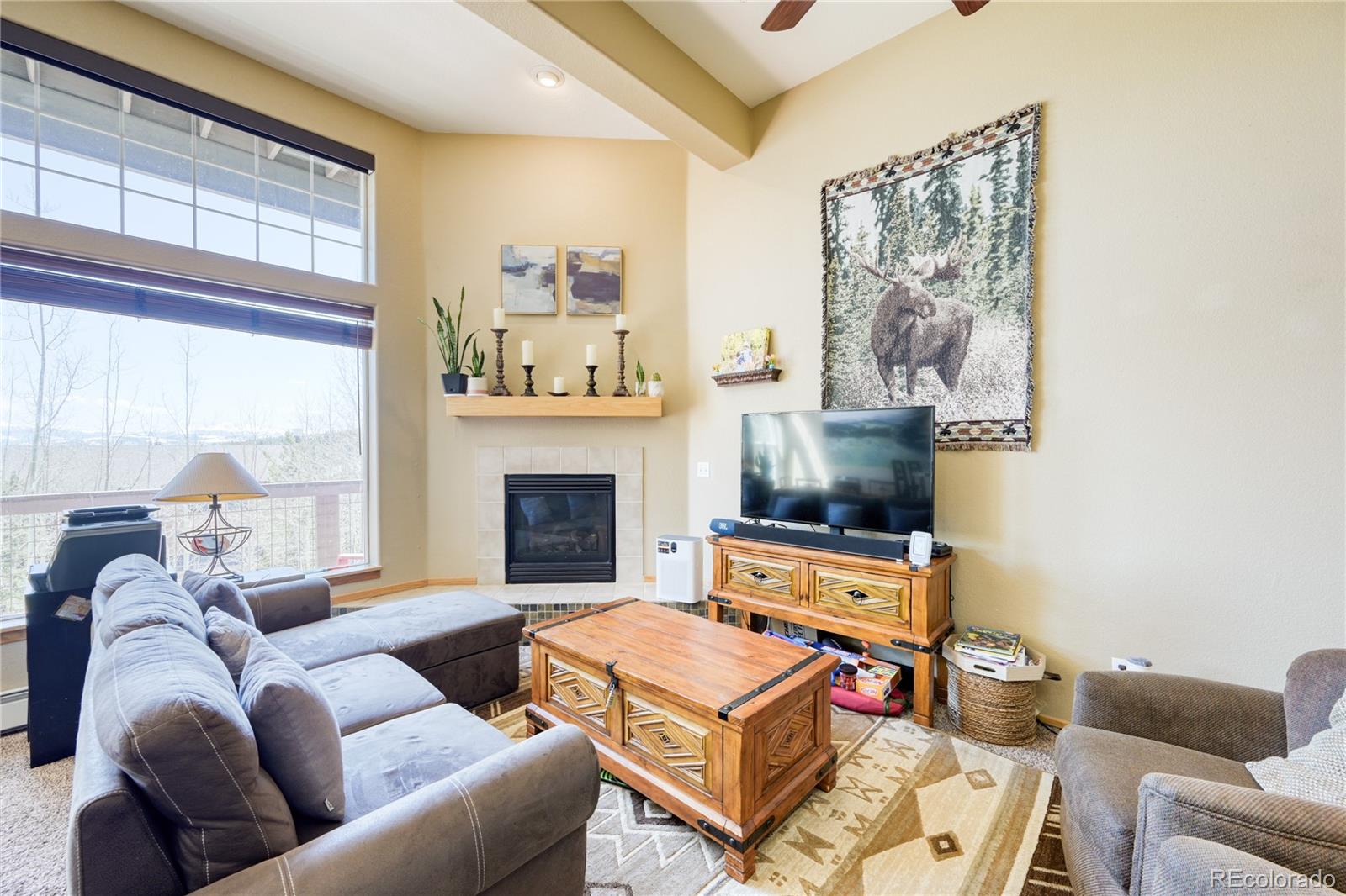 MLS Image #11 for 91099  ryan gulch road,silverthorne, Colorado