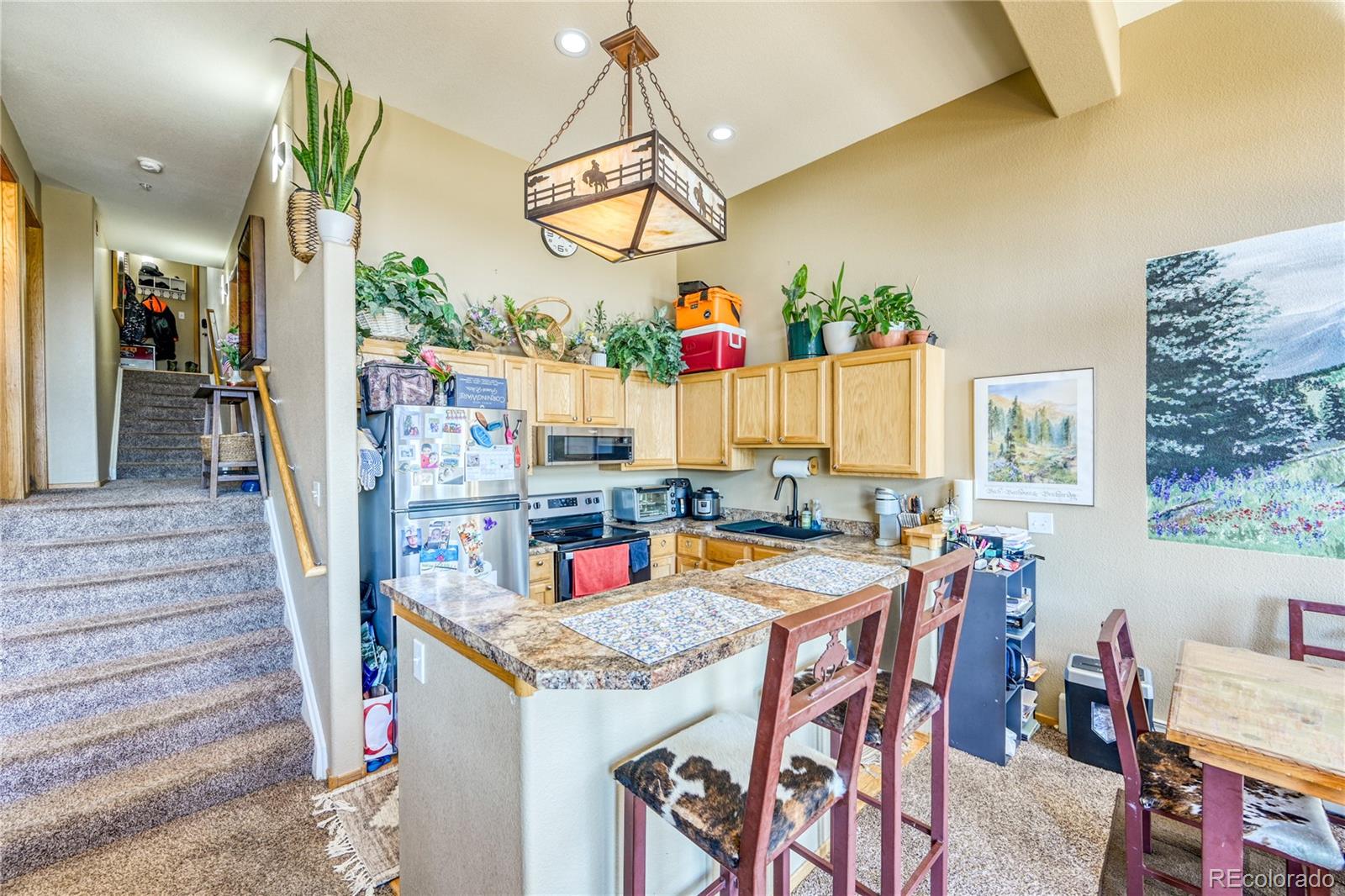 MLS Image #14 for 91099  ryan gulch road,silverthorne, Colorado