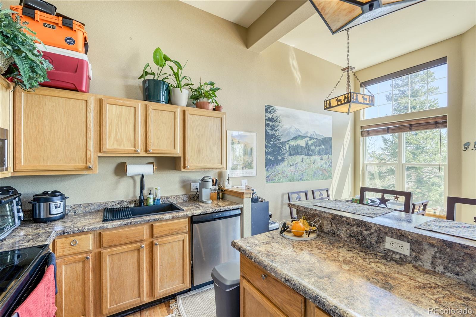 MLS Image #16 for 91099  ryan gulch road,silverthorne, Colorado