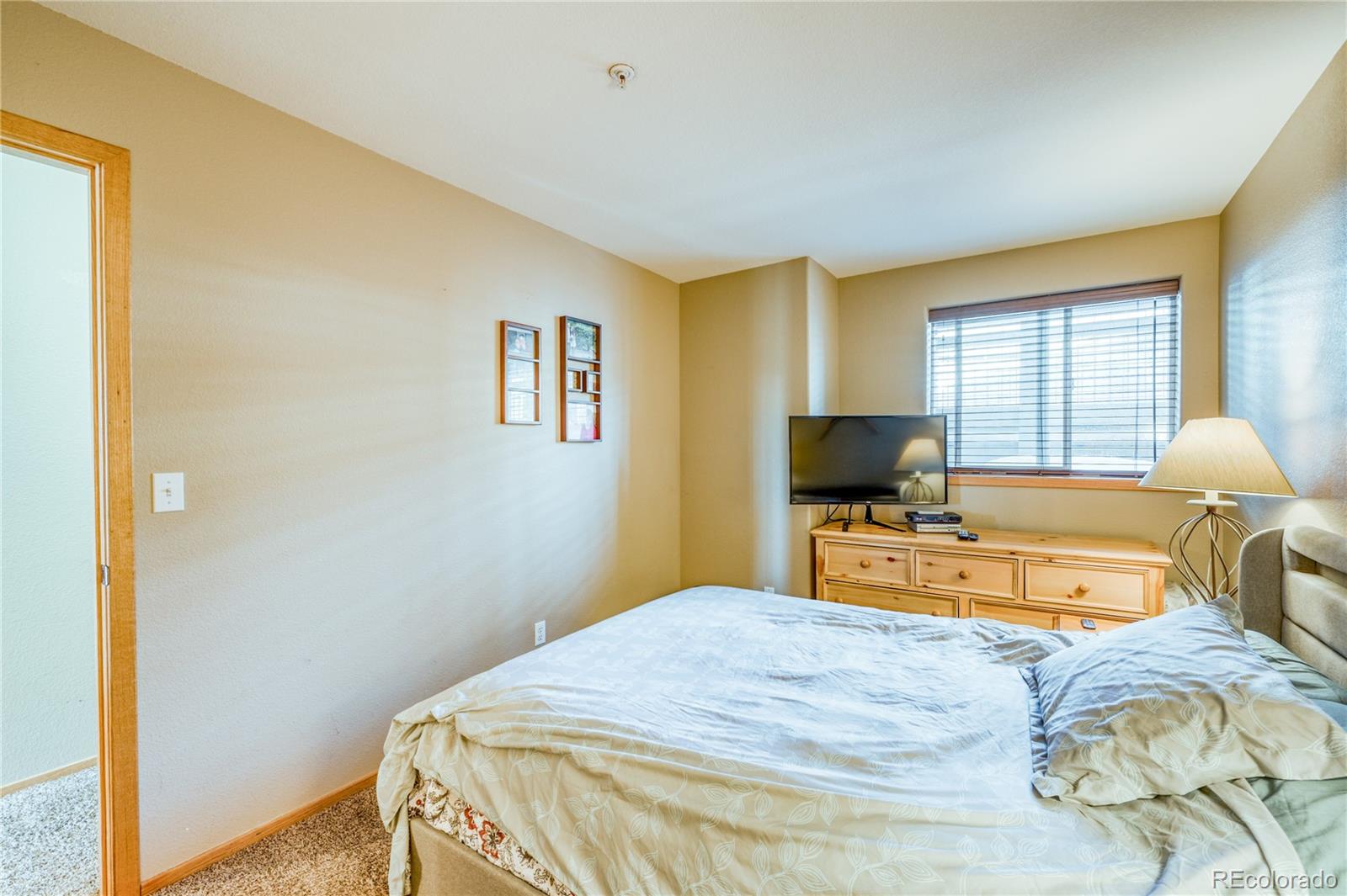 MLS Image #18 for 91099  ryan gulch road,silverthorne, Colorado