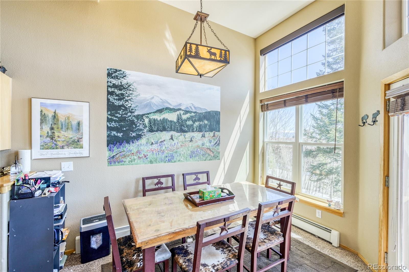 MLS Image #19 for 91099  ryan gulch road,silverthorne, Colorado