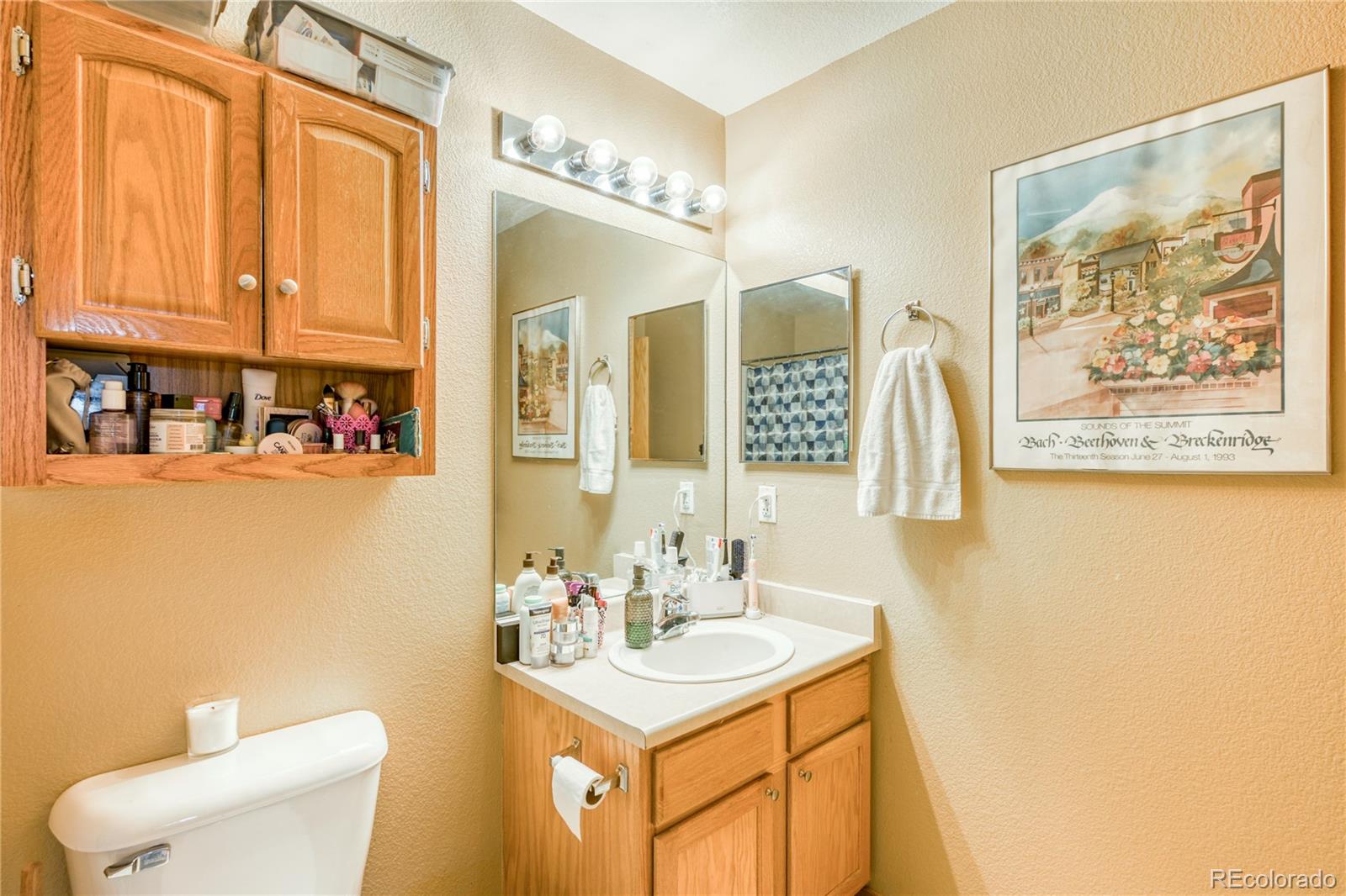 MLS Image #22 for 91099  ryan gulch road,silverthorne, Colorado