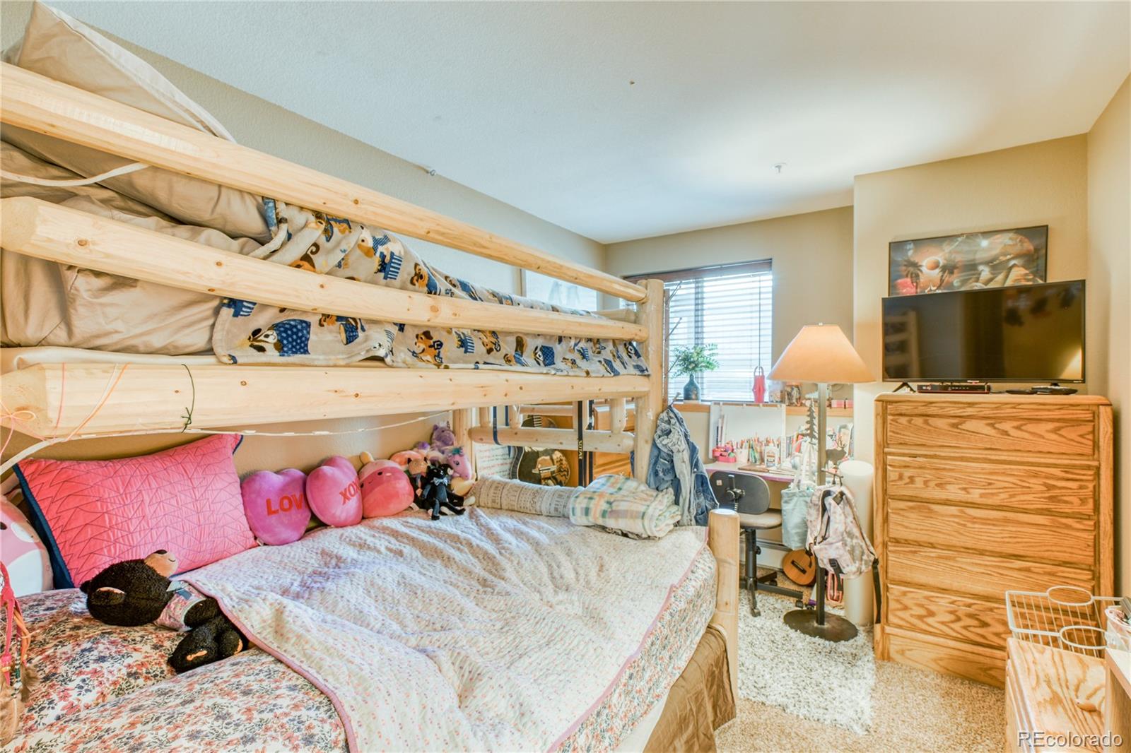 MLS Image #24 for 91099  ryan gulch road,silverthorne, Colorado