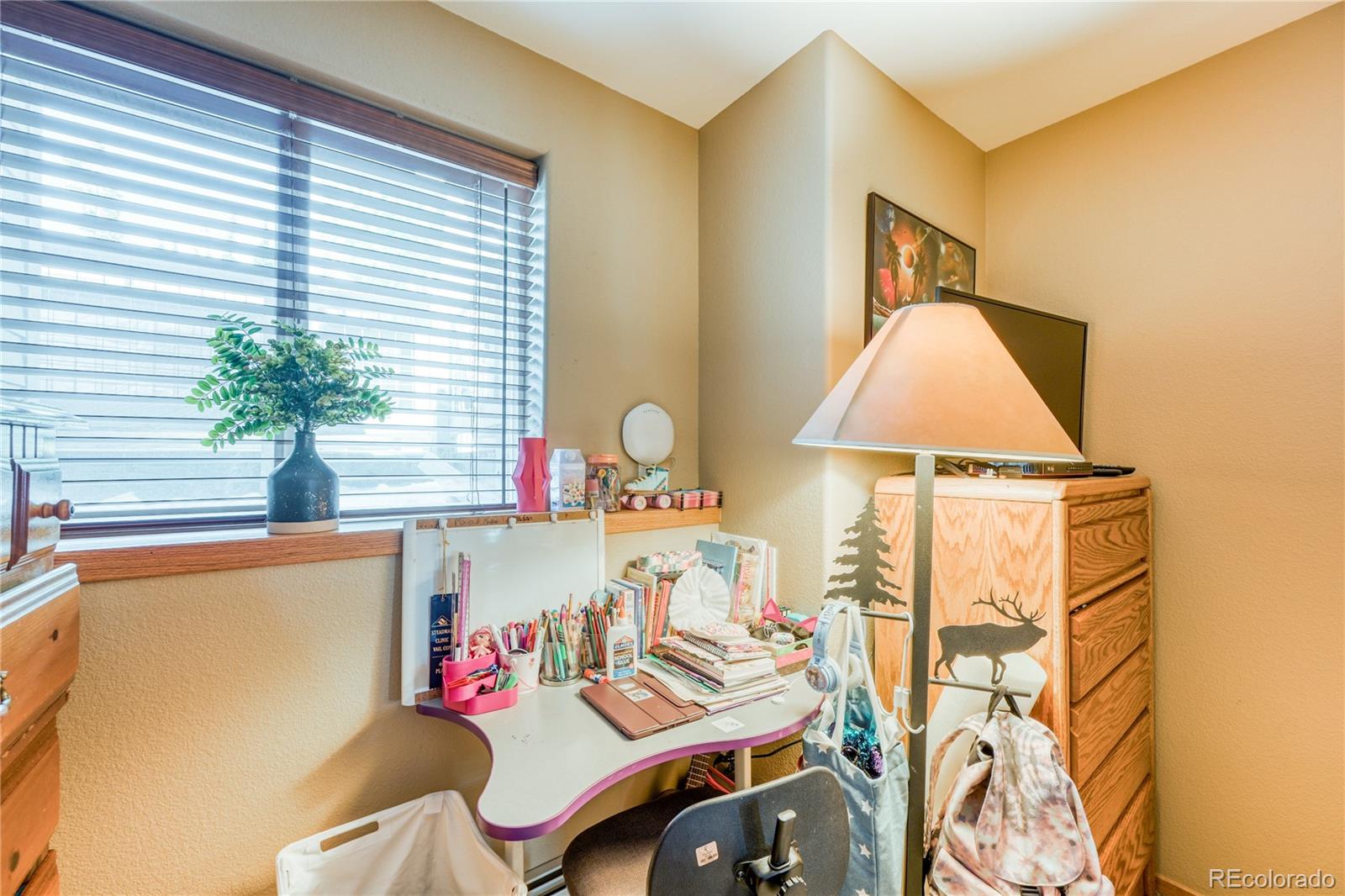 MLS Image #26 for 91099  ryan gulch road,silverthorne, Colorado
