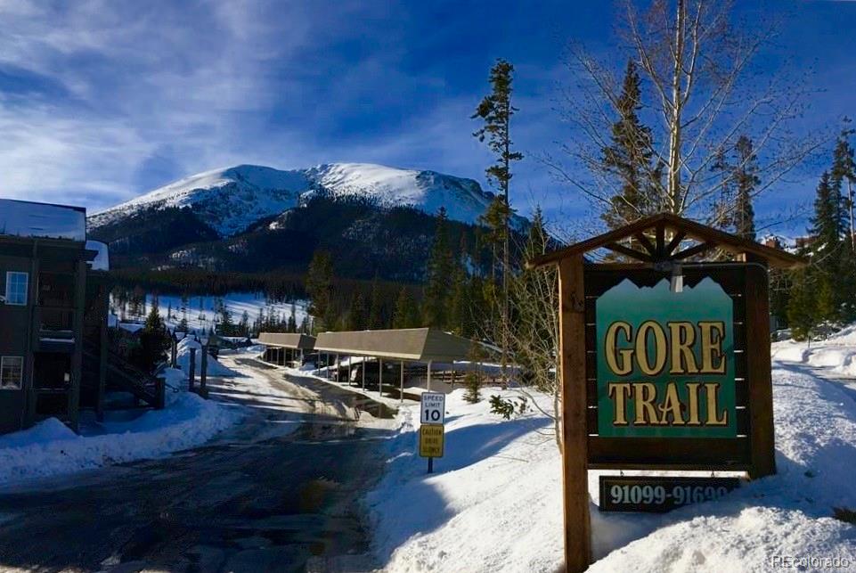 MLS Image #4 for 91099  ryan gulch road,silverthorne, Colorado