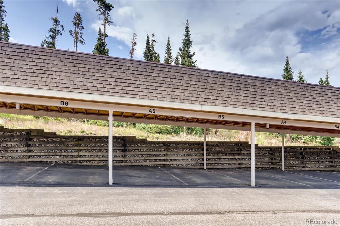 MLS Image #5 for 91099  ryan gulch road,silverthorne, Colorado