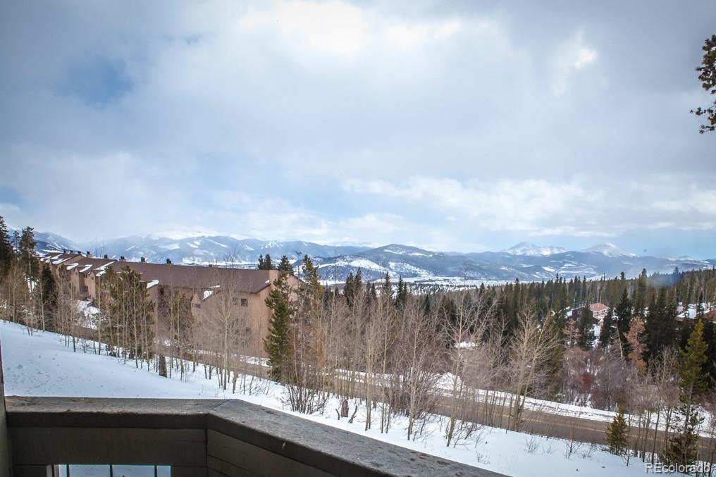 MLS Image #6 for 91099  ryan gulch road,silverthorne, Colorado