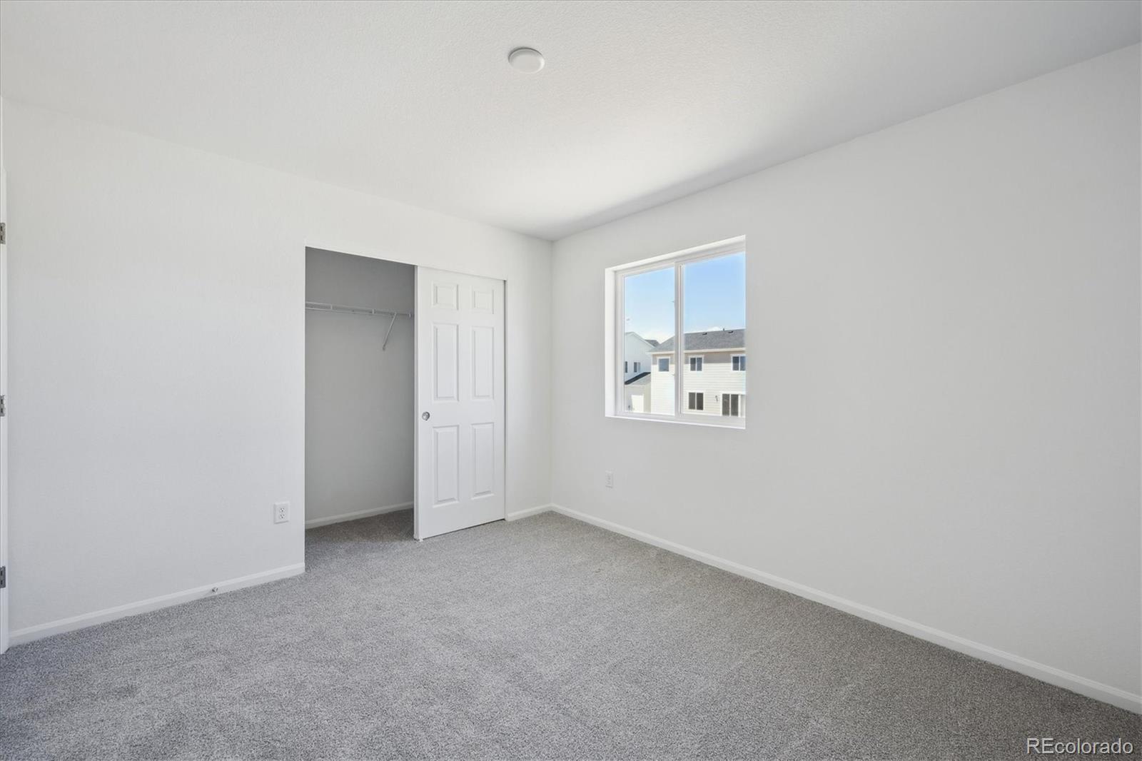 MLS Image #13 for 4667  short horn drive,johnstown, Colorado