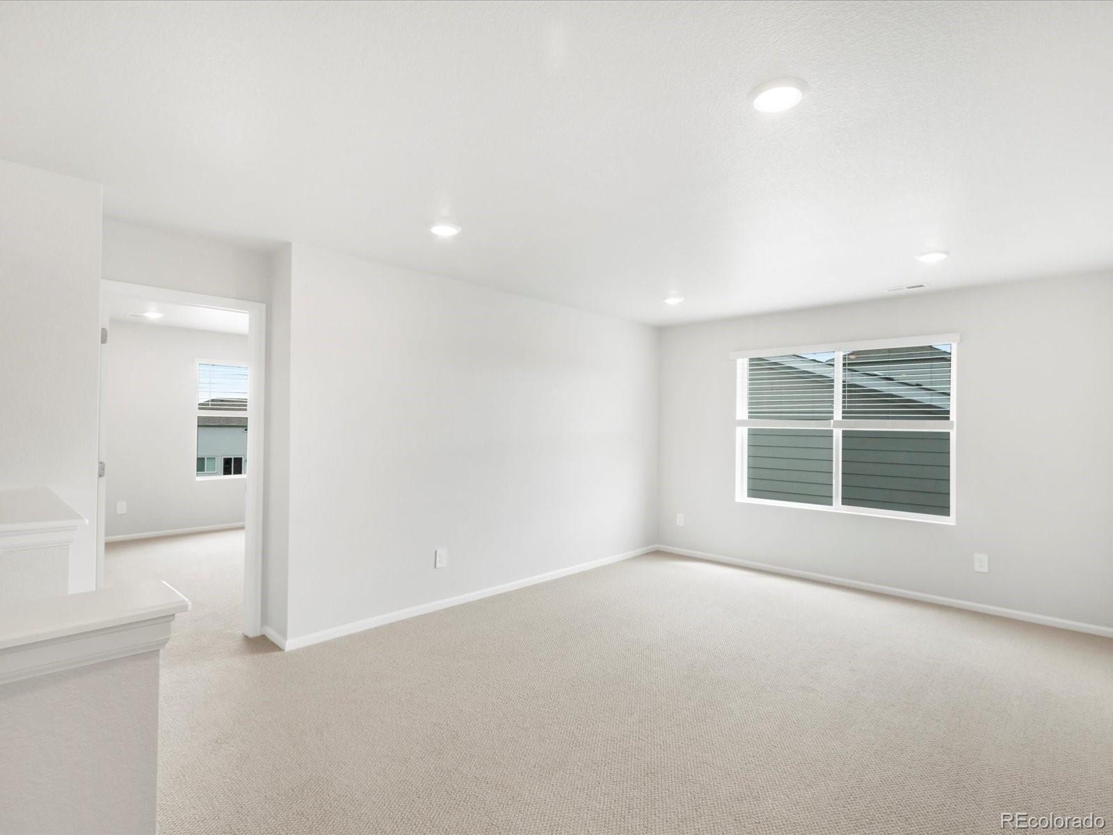 MLS Image #21 for 1635  rumley creek drive,windsor, Colorado