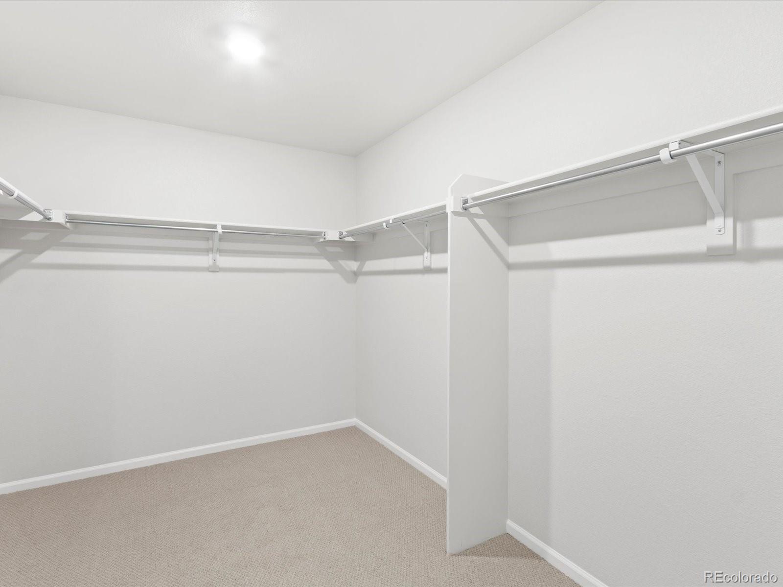 MLS Image #30 for 1635  rumley creek drive,windsor, Colorado