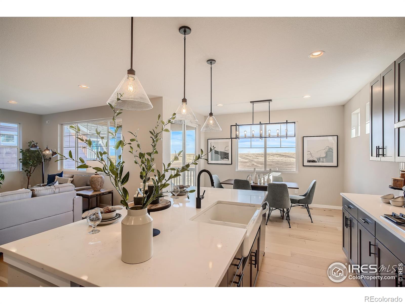 MLS Image #8 for 2719  crystal springs lane,longmont, Colorado