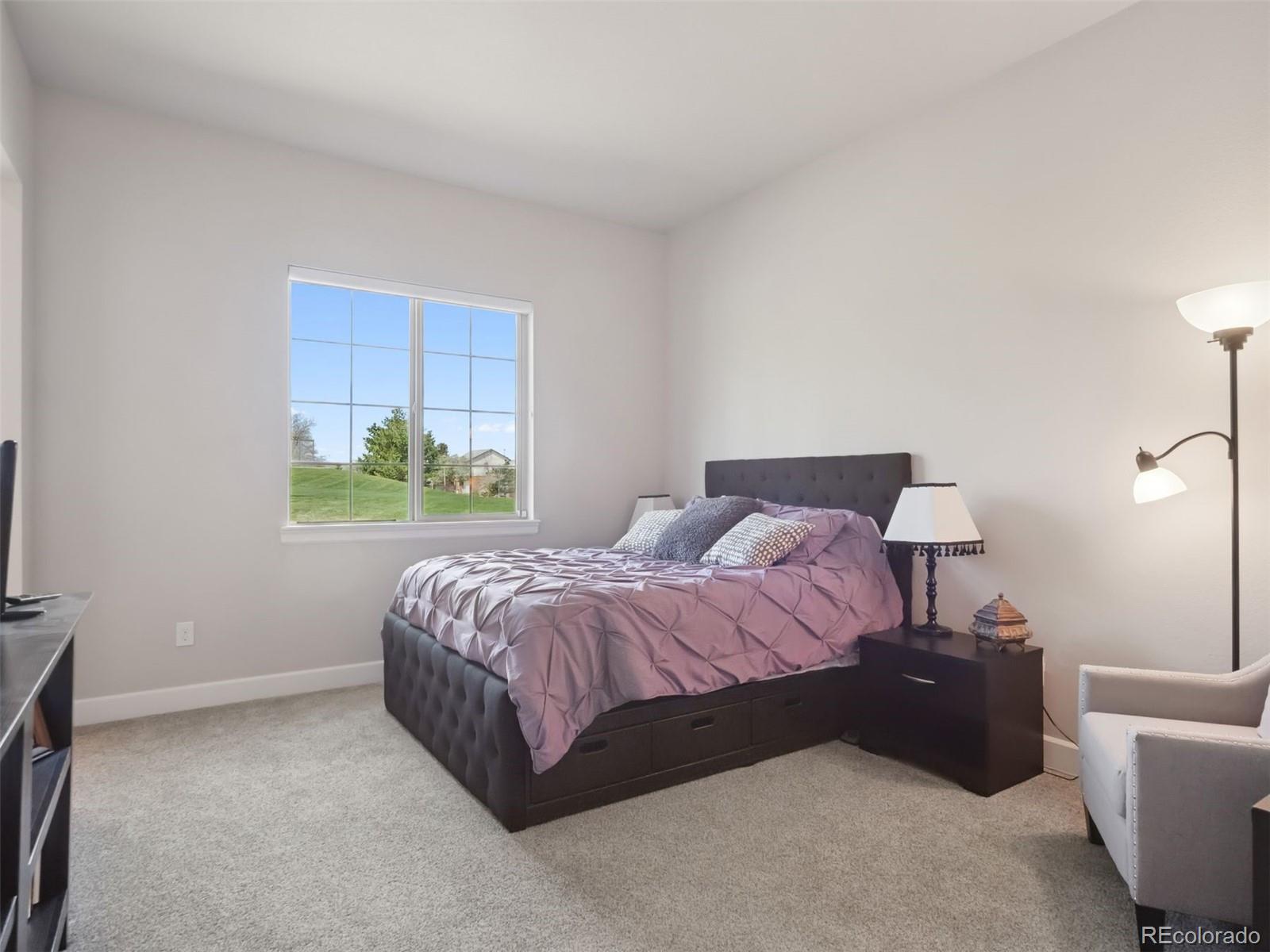 MLS Image #30 for 6970 e lake drive,centennial, Colorado