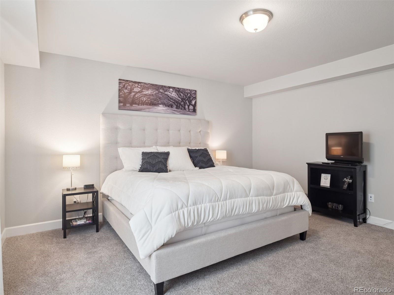MLS Image #41 for 6970 e lake drive,centennial, Colorado