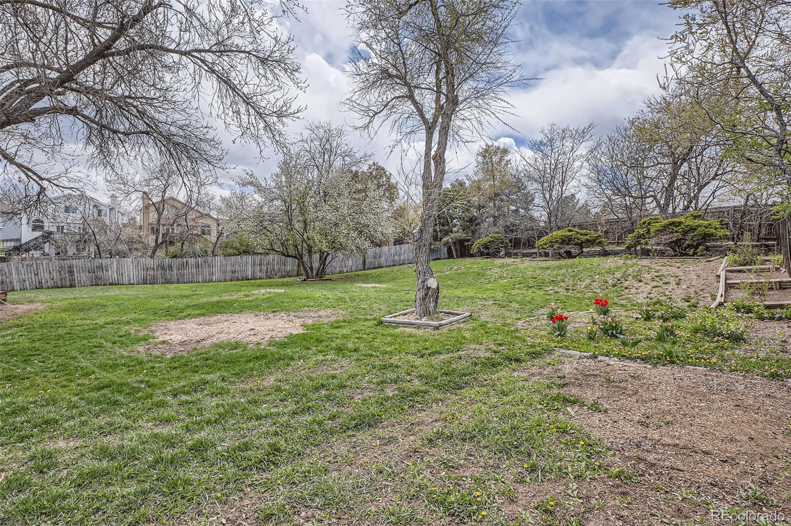 MLS Image #25 for 7791 s columbine street,centennial, Colorado