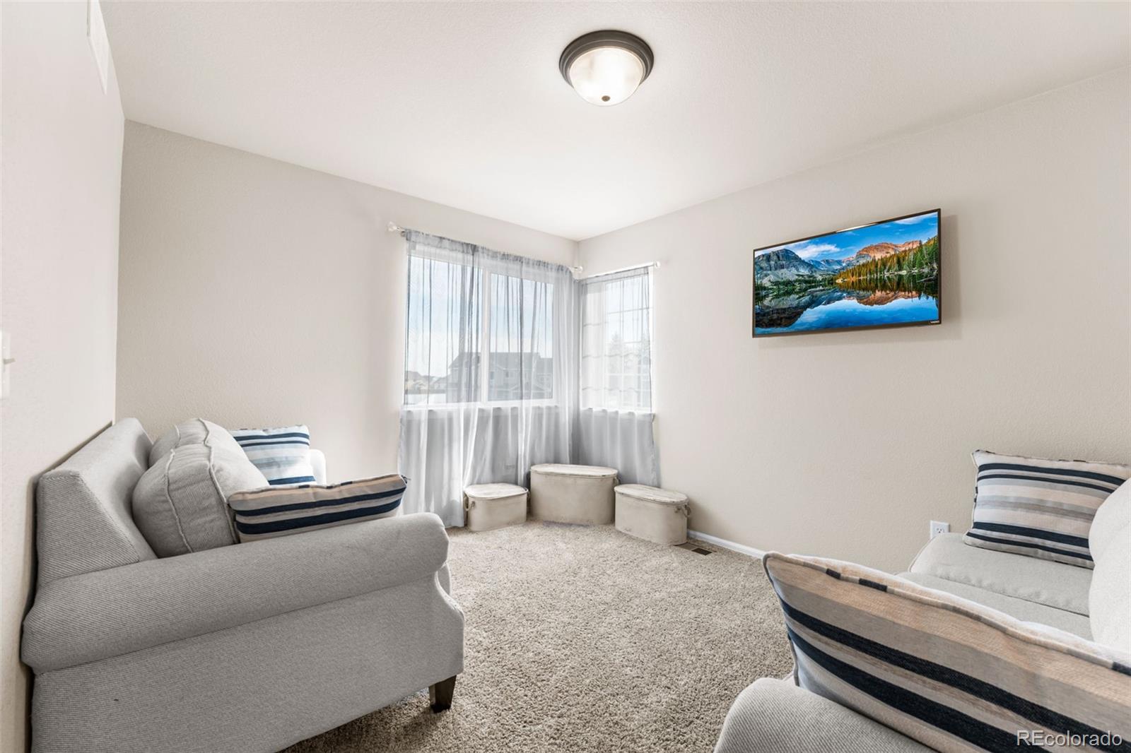 MLS Image #18 for 1205  muskox street,severance, Colorado