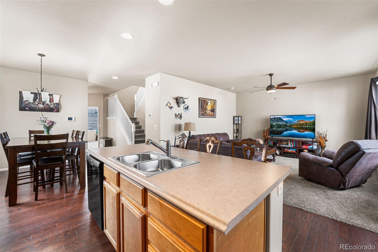 MLS Image #4 for 1205  muskox street,severance, Colorado