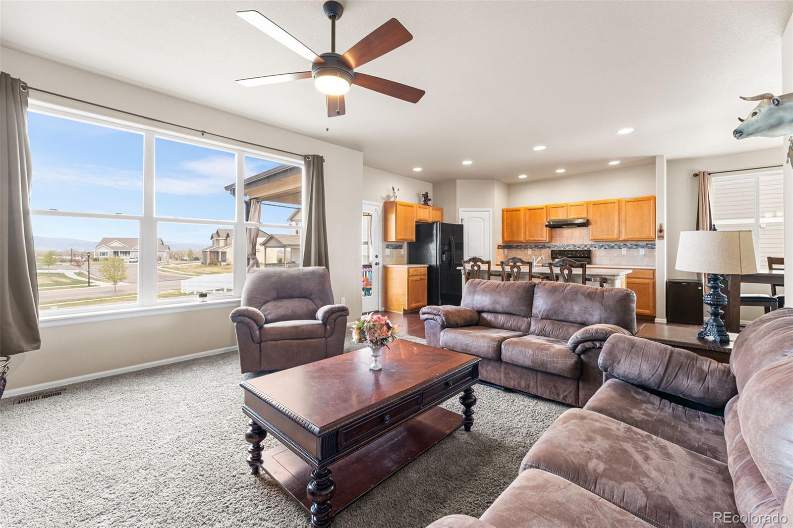 MLS Image #8 for 1205  muskox street,severance, Colorado