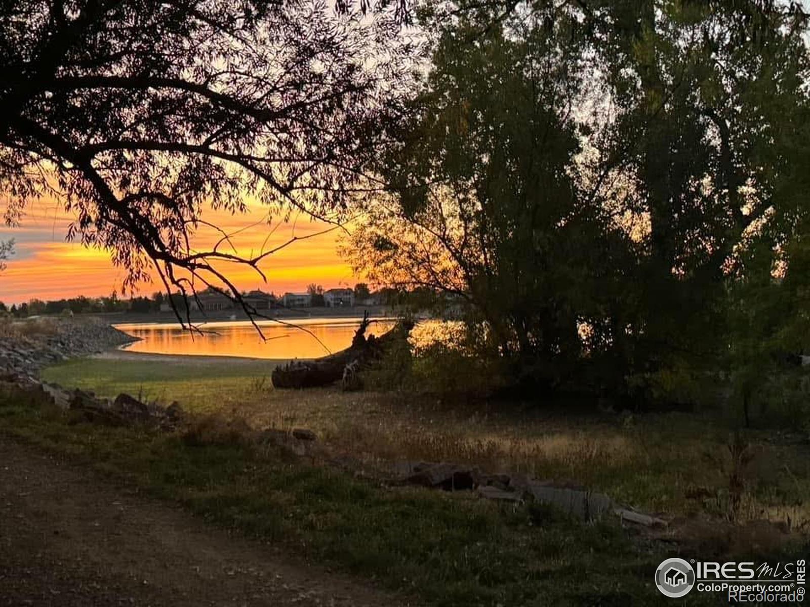 MLS Image #0 for 3707  shelter cove,fort collins, Colorado