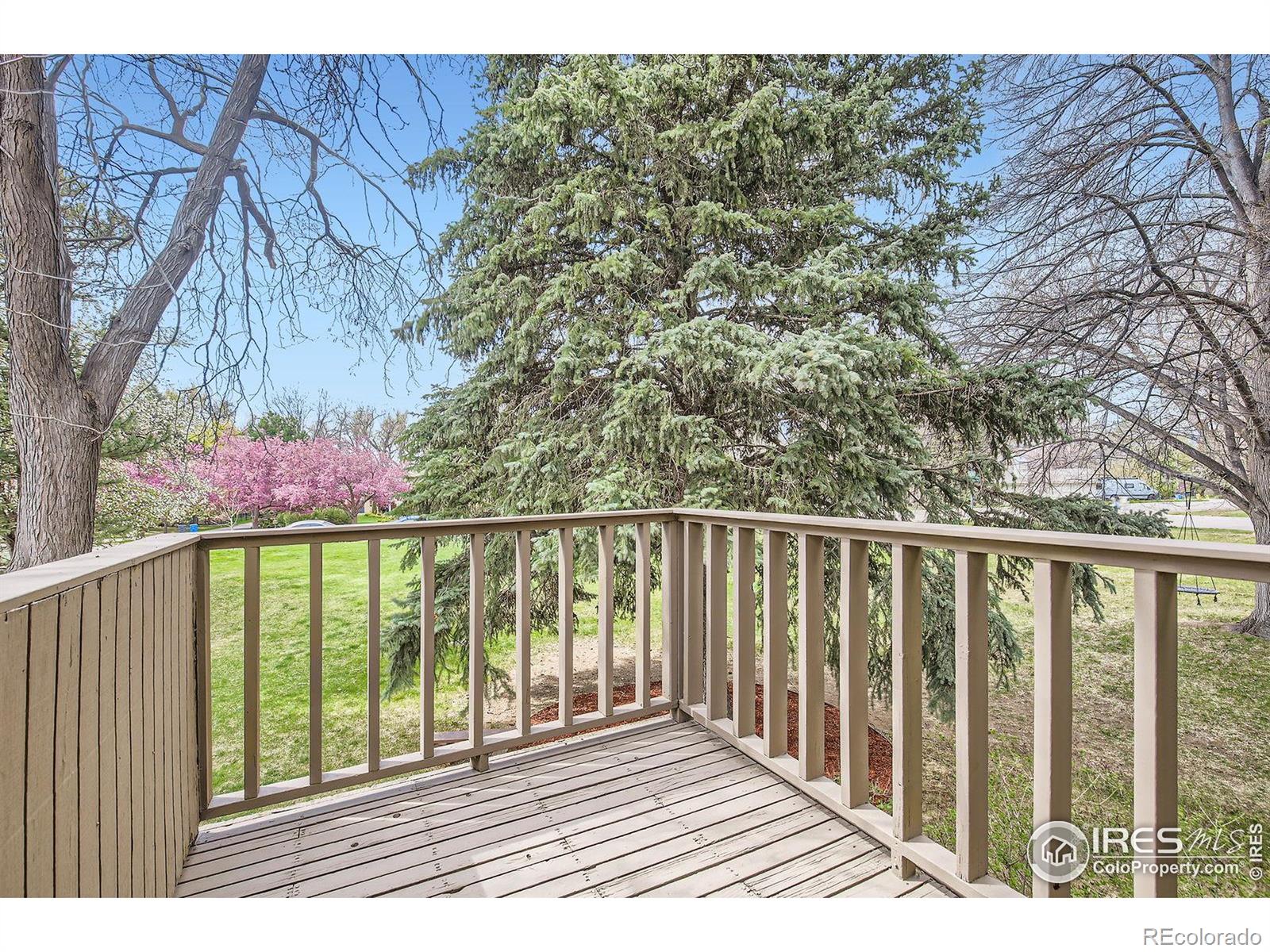 MLS Image #25 for 3707  shelter cove,fort collins, Colorado