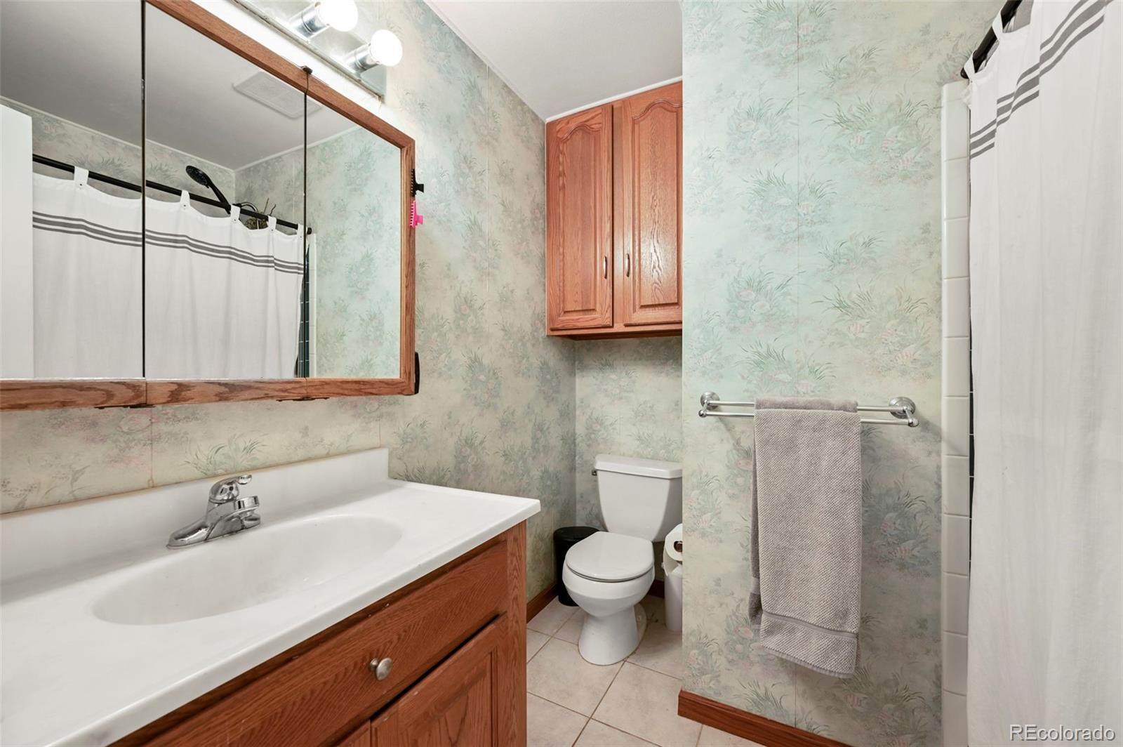 MLS Image #19 for 2009 s zephyr court,lakewood, Colorado