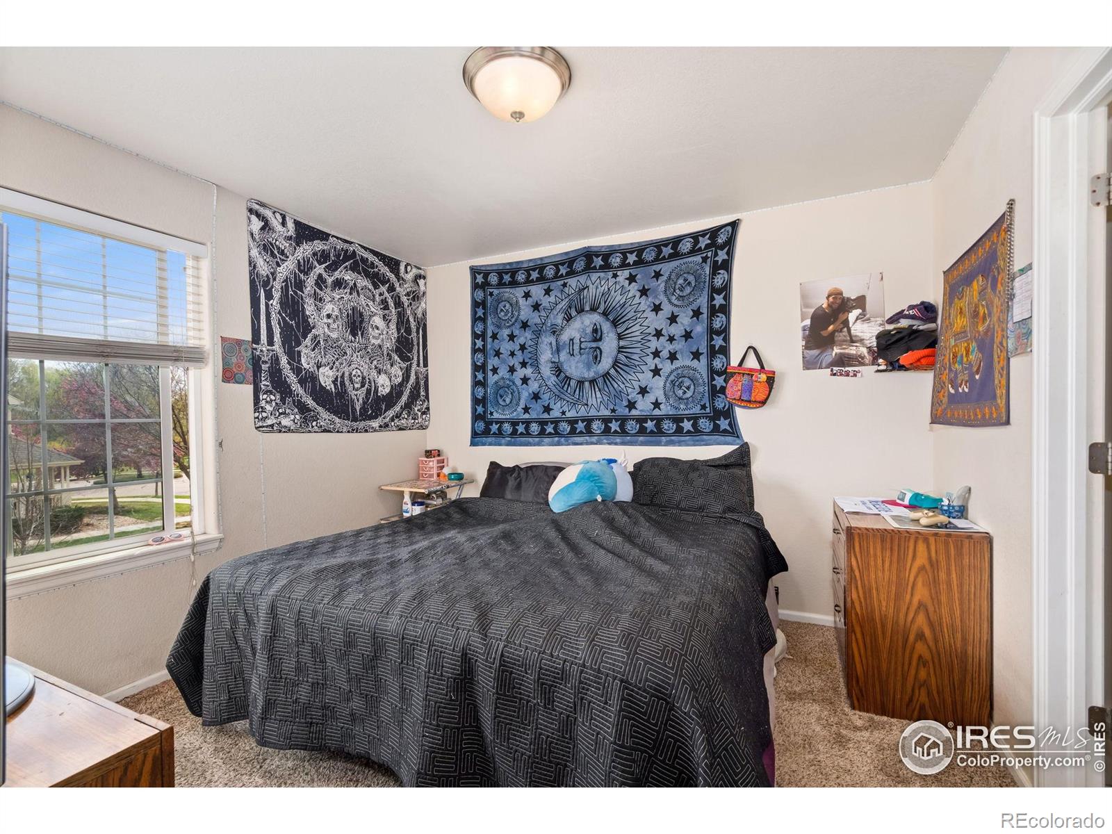 MLS Image #12 for 1602  robertson street,fort collins, Colorado