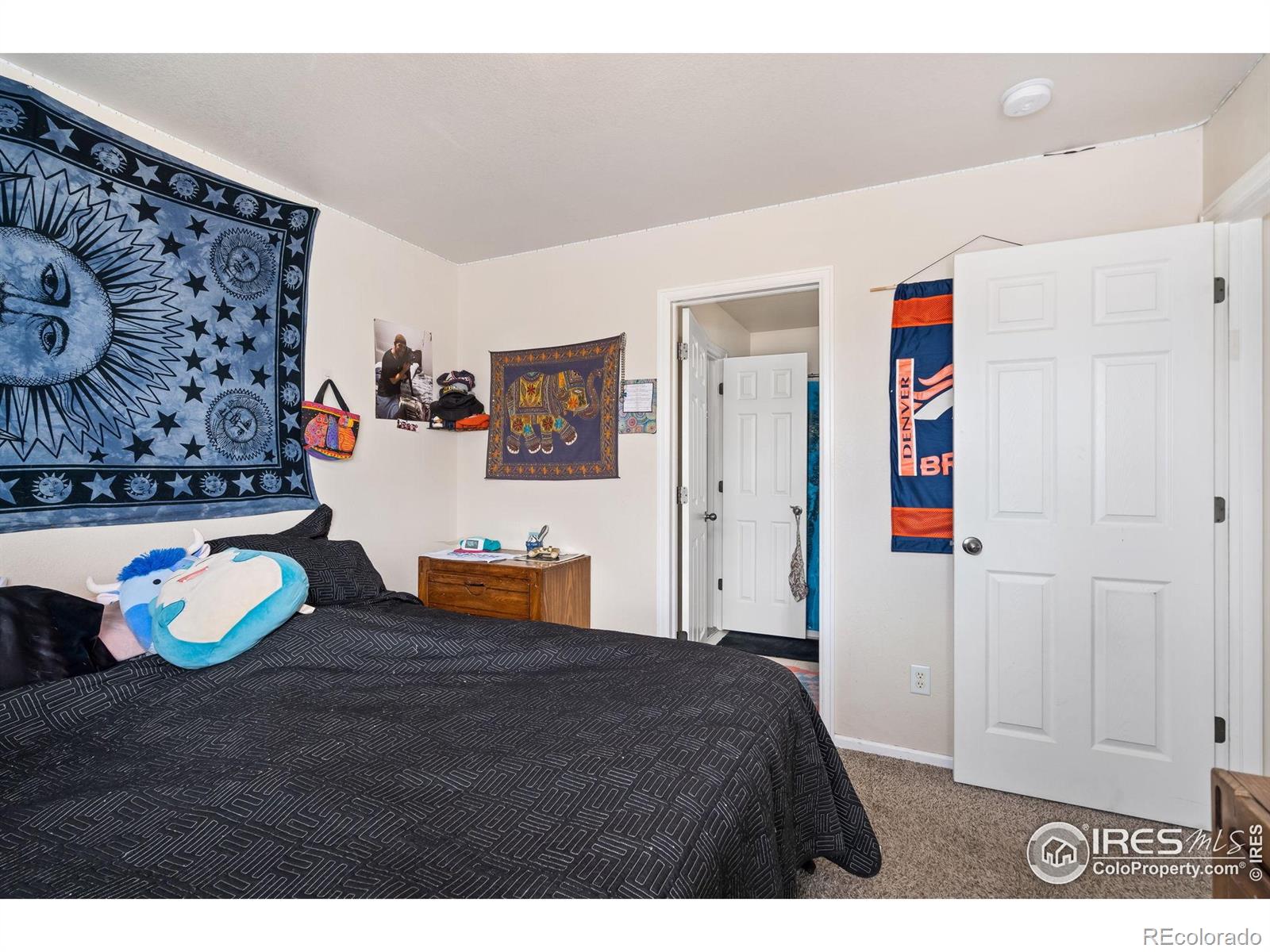 MLS Image #13 for 1602  robertson street,fort collins, Colorado