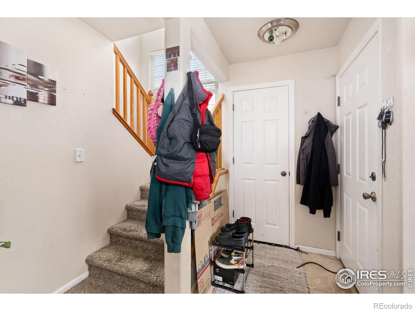 MLS Image #3 for 1602  robertson street,fort collins, Colorado