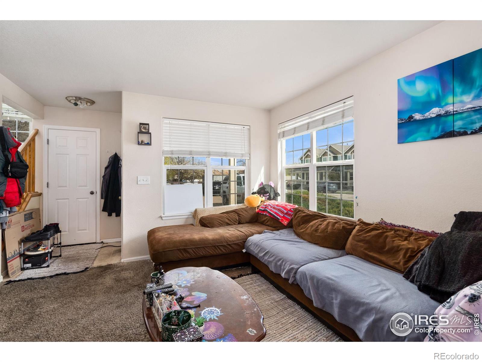 MLS Image #5 for 1602  robertson street,fort collins, Colorado