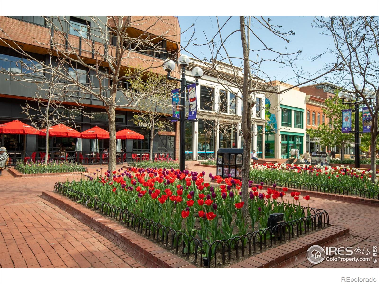 MLS Image #20 for 2711  mapleton avenue,boulder, Colorado