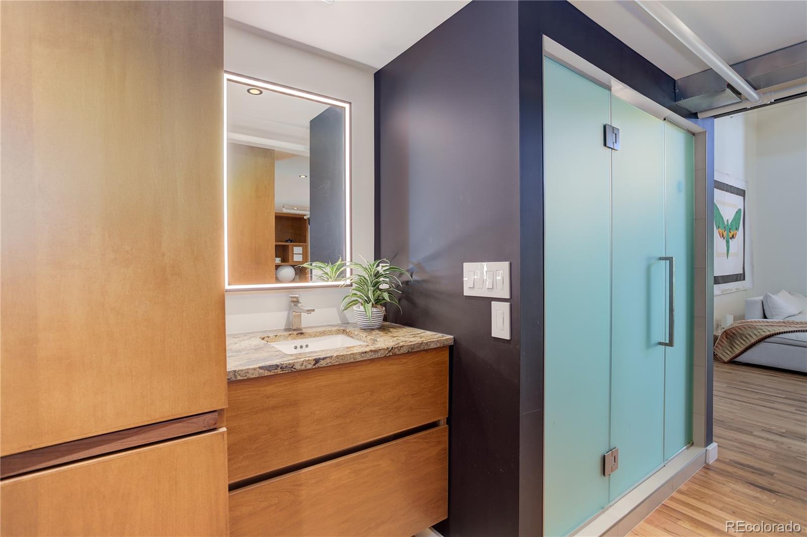 MLS Image #9 for 3377  blake street,denver, Colorado
