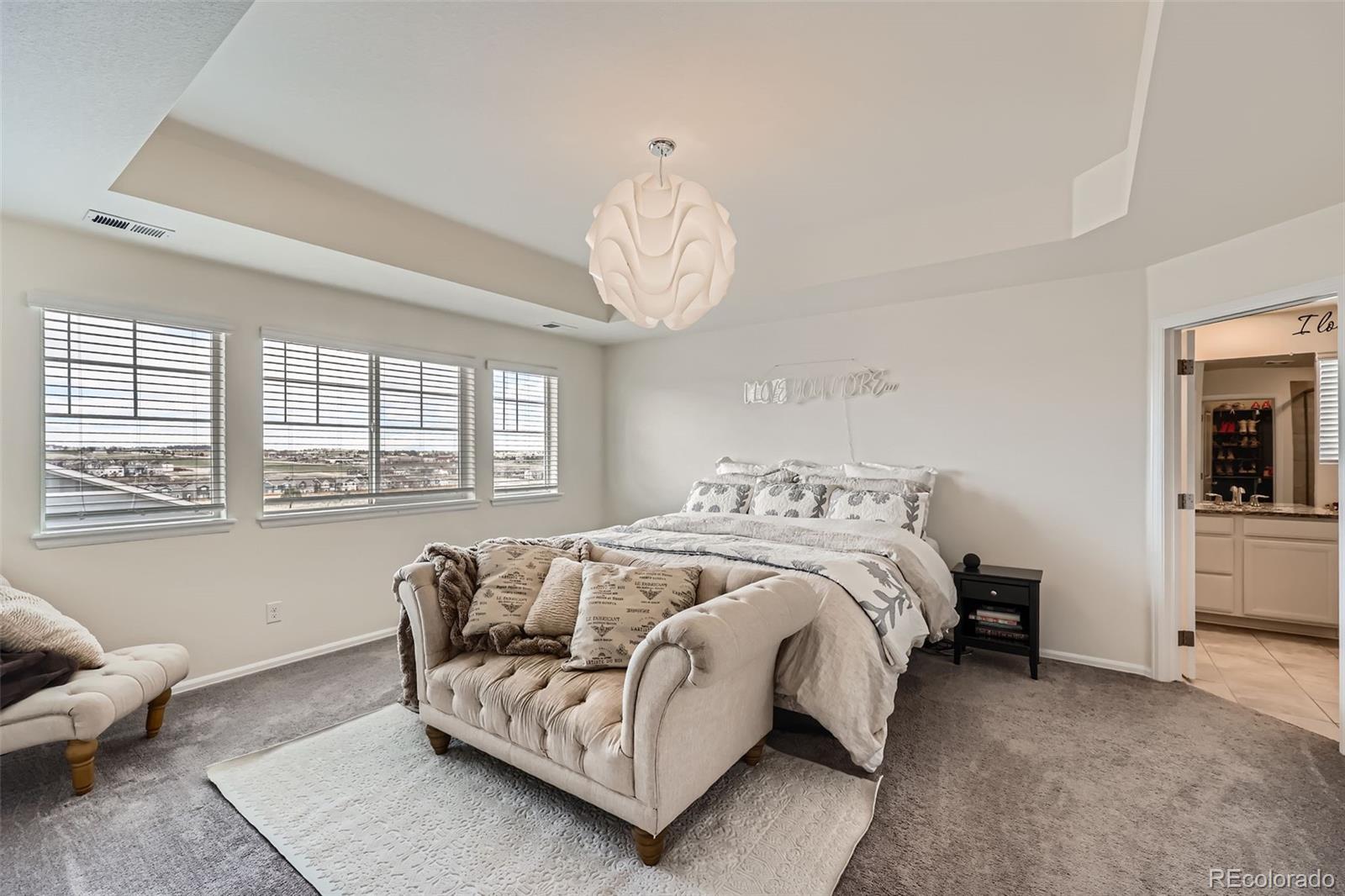 MLS Image #14 for 935  peach leaf lane,elizabeth, Colorado