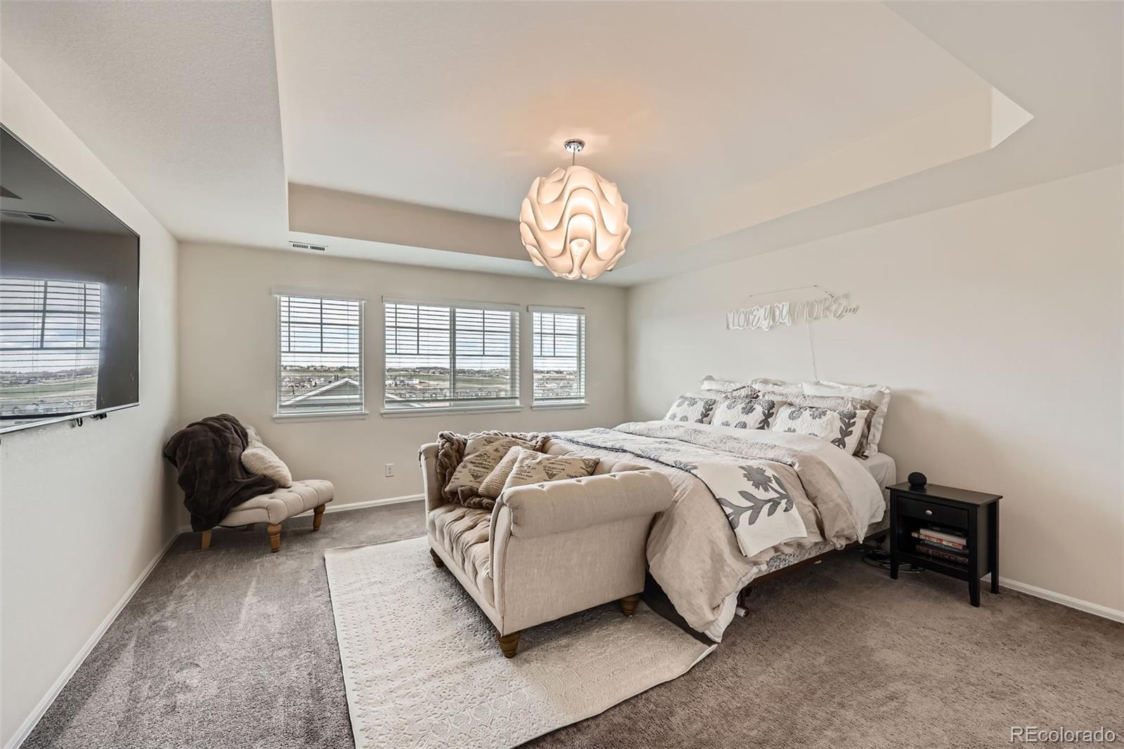 MLS Image #15 for 935  peach leaf lane,elizabeth, Colorado