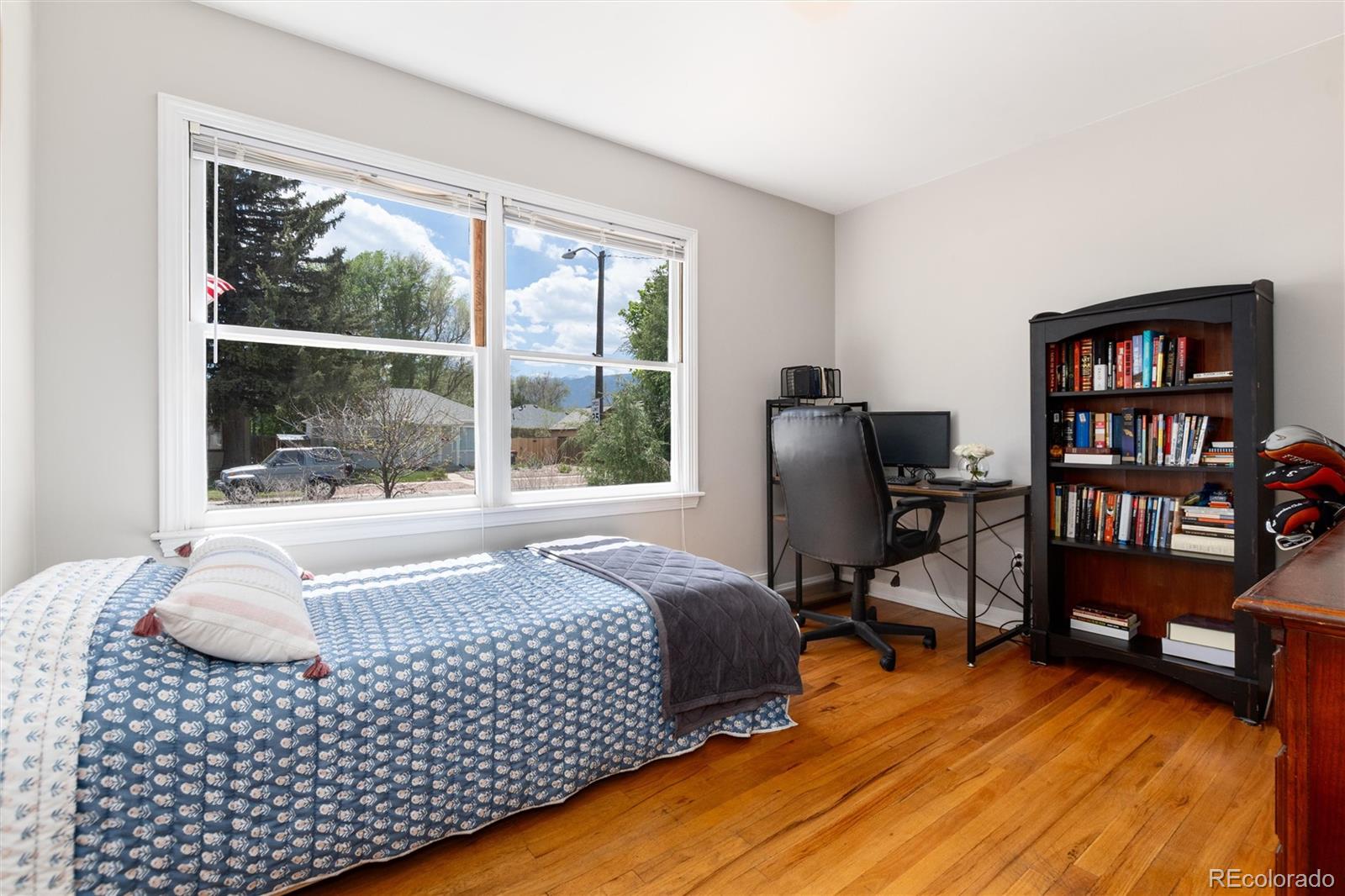 MLS Image #18 for 916 e la salle street,colorado springs, Colorado