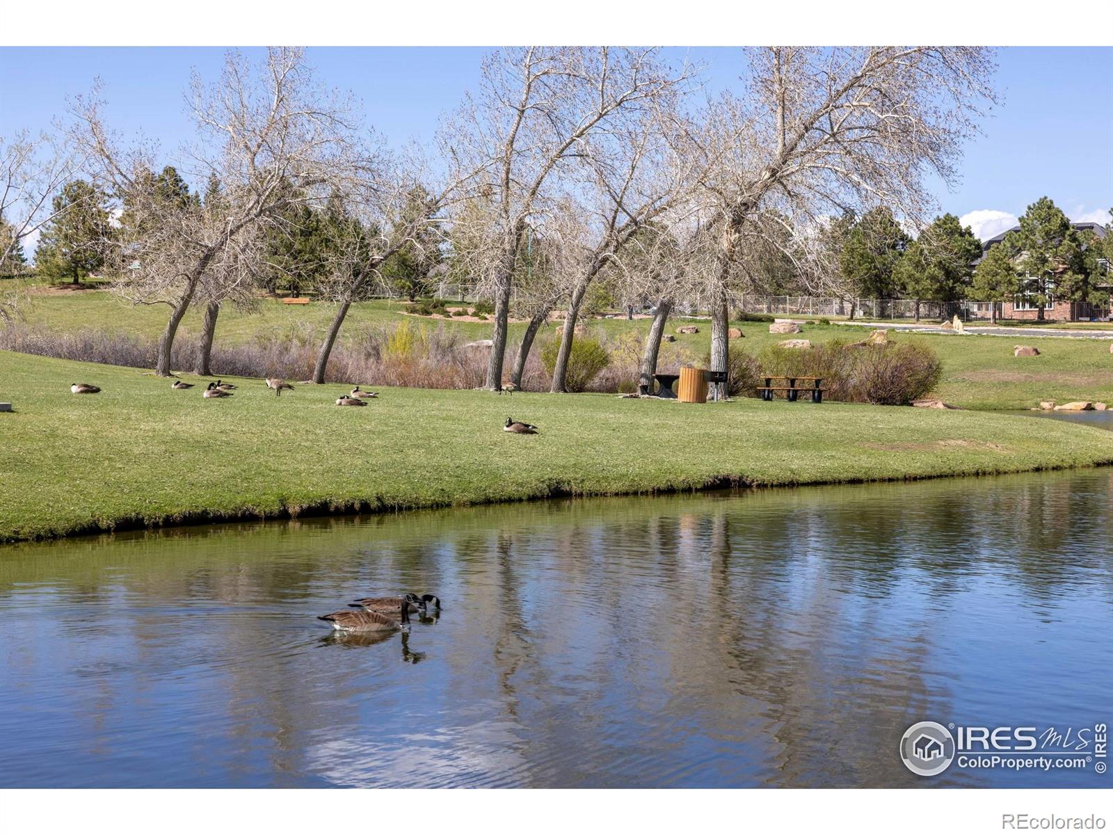 MLS Image #29 for 956  shavano peak drive,superior, Colorado