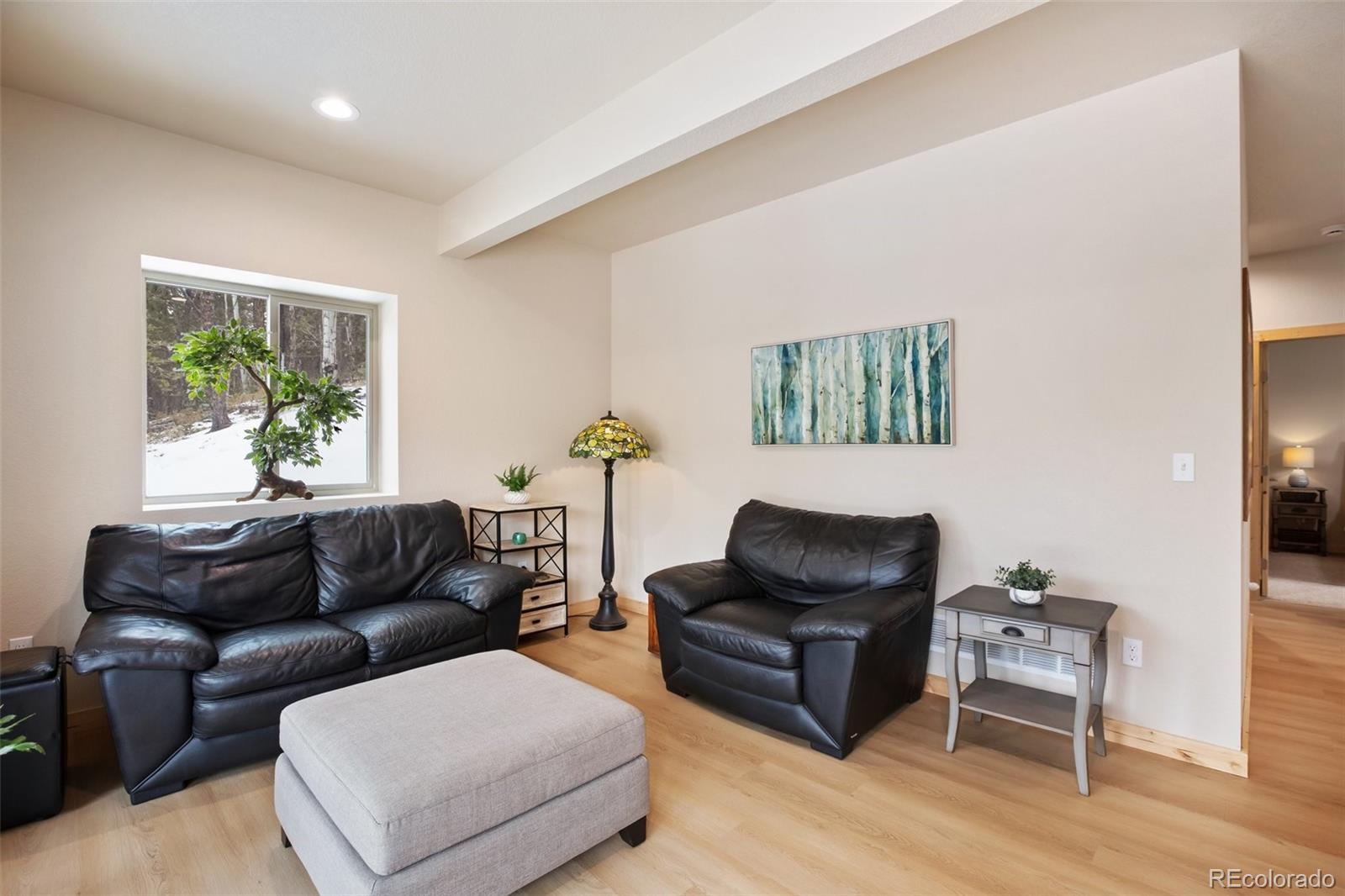 MLS Image #19 for 124  kernite lane,divide, Colorado