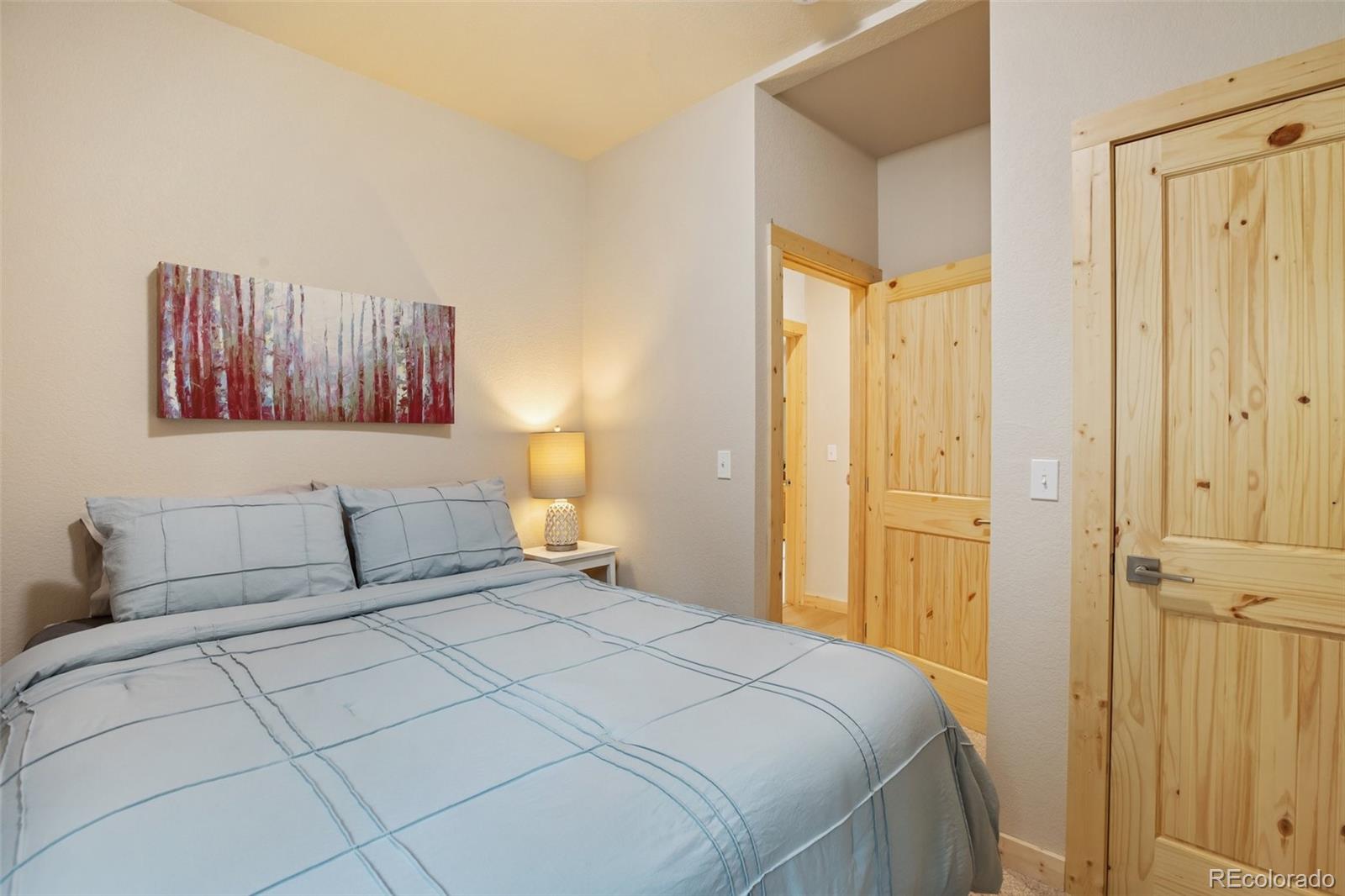 MLS Image #25 for 124  kernite lane,divide, Colorado