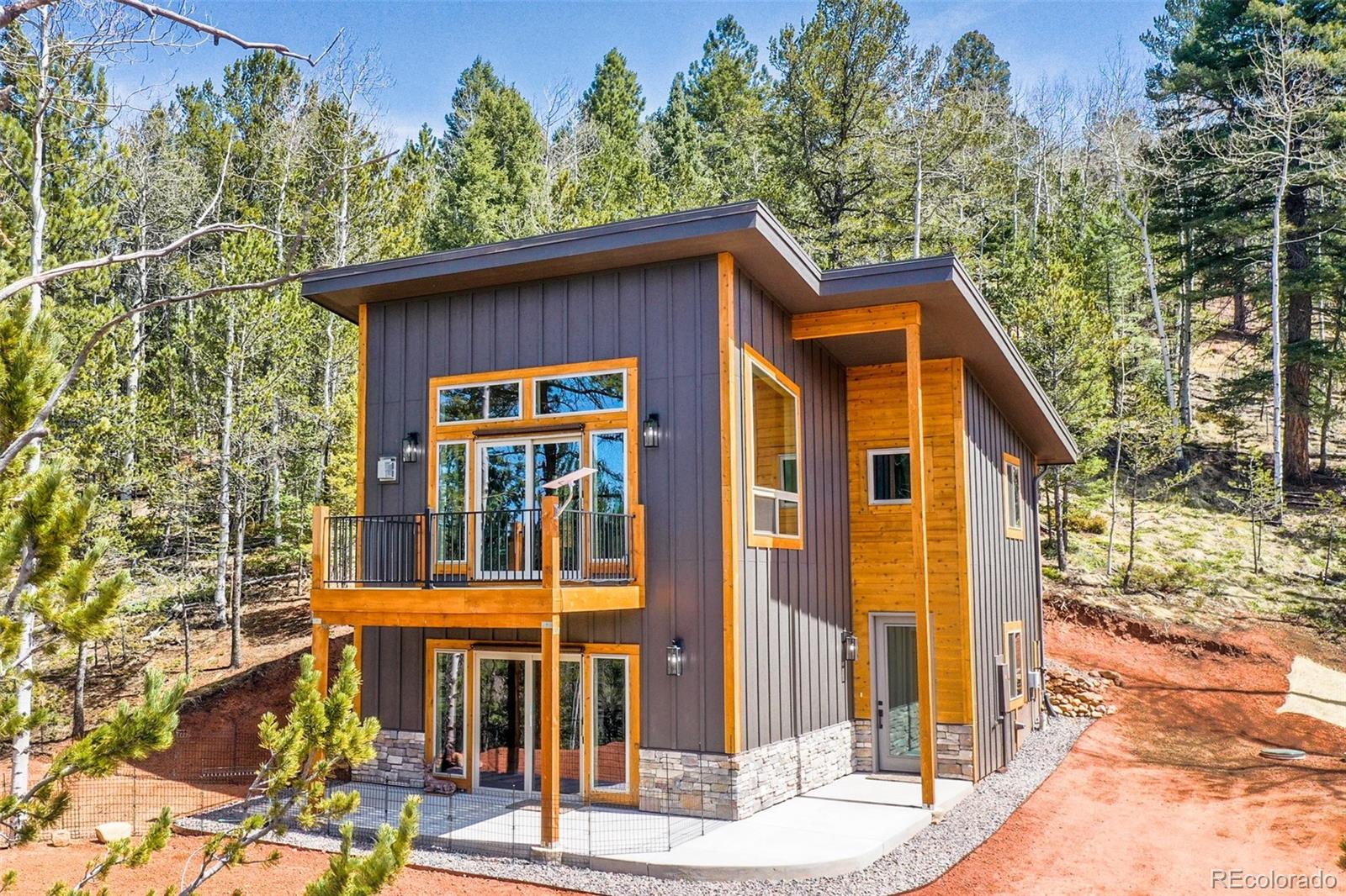 MLS Image #26 for 124  kernite lane,divide, Colorado