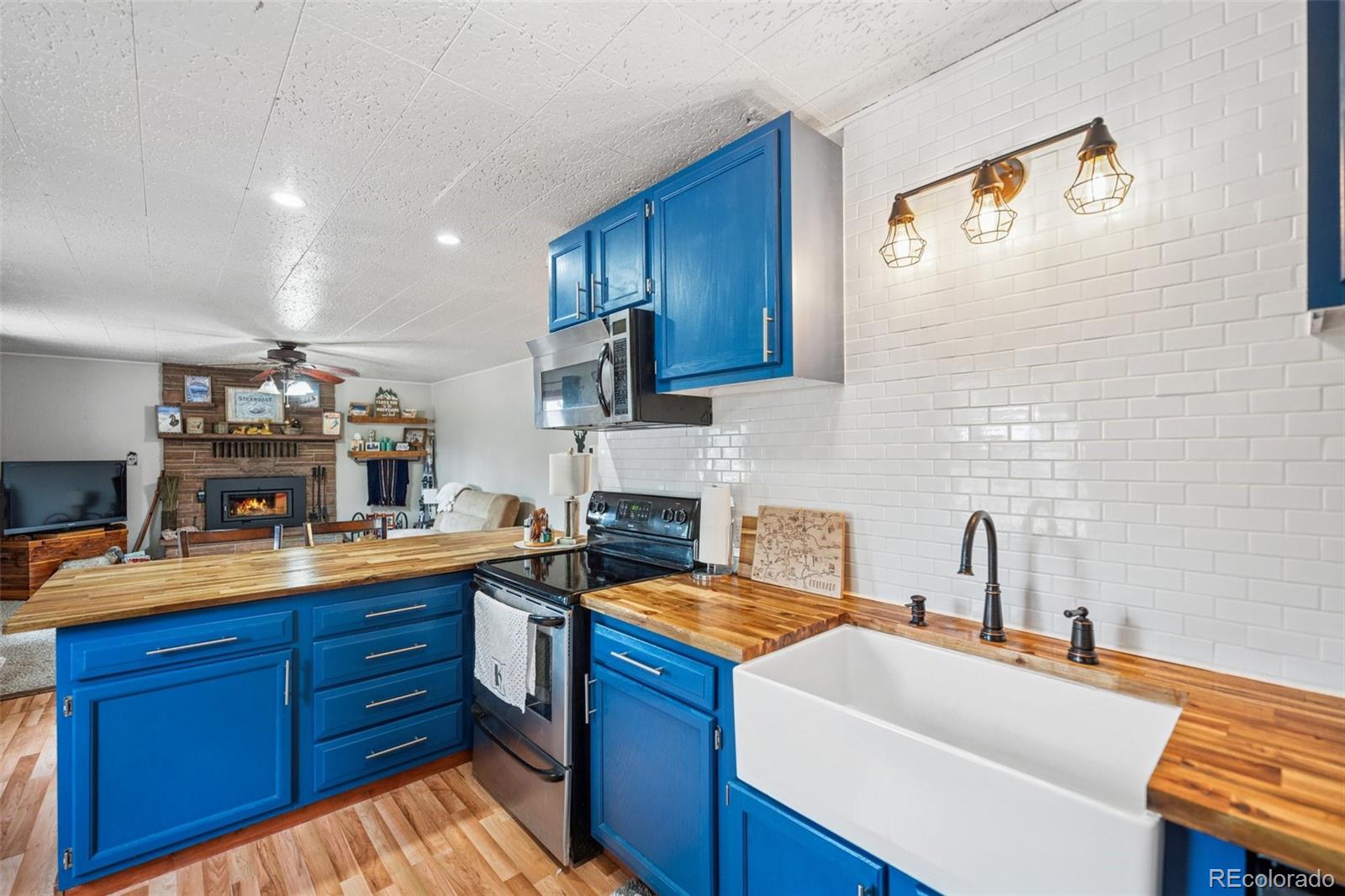 MLS Image #4 for 281  mesa drive,florissant, Colorado