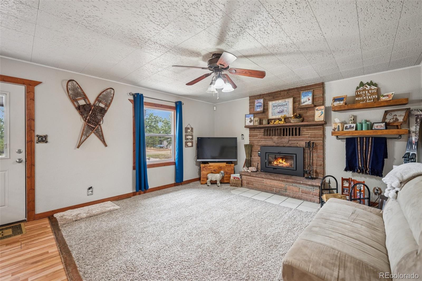 MLS Image #6 for 281  mesa drive,florissant, Colorado