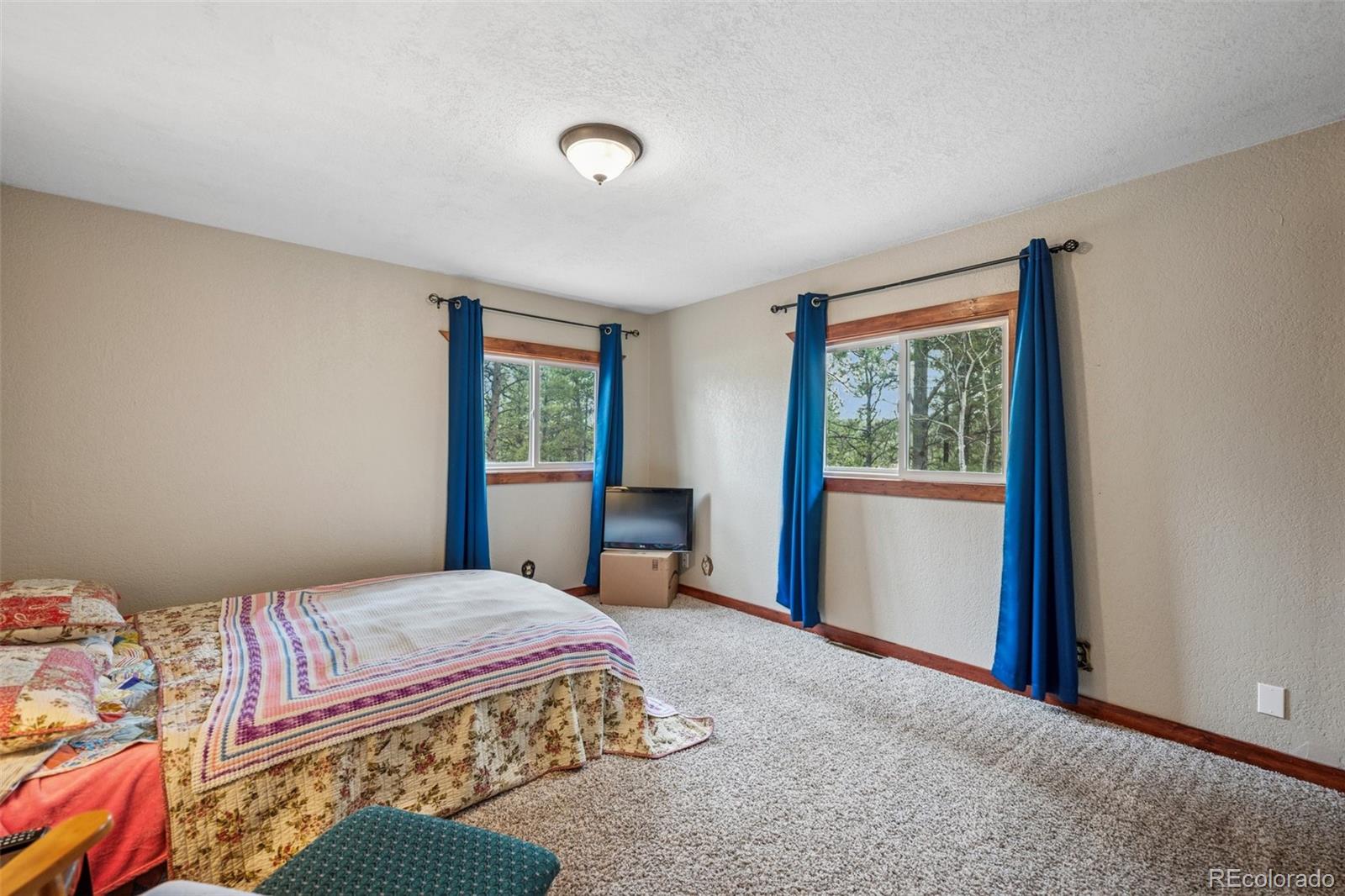 MLS Image #8 for 281  mesa drive,florissant, Colorado