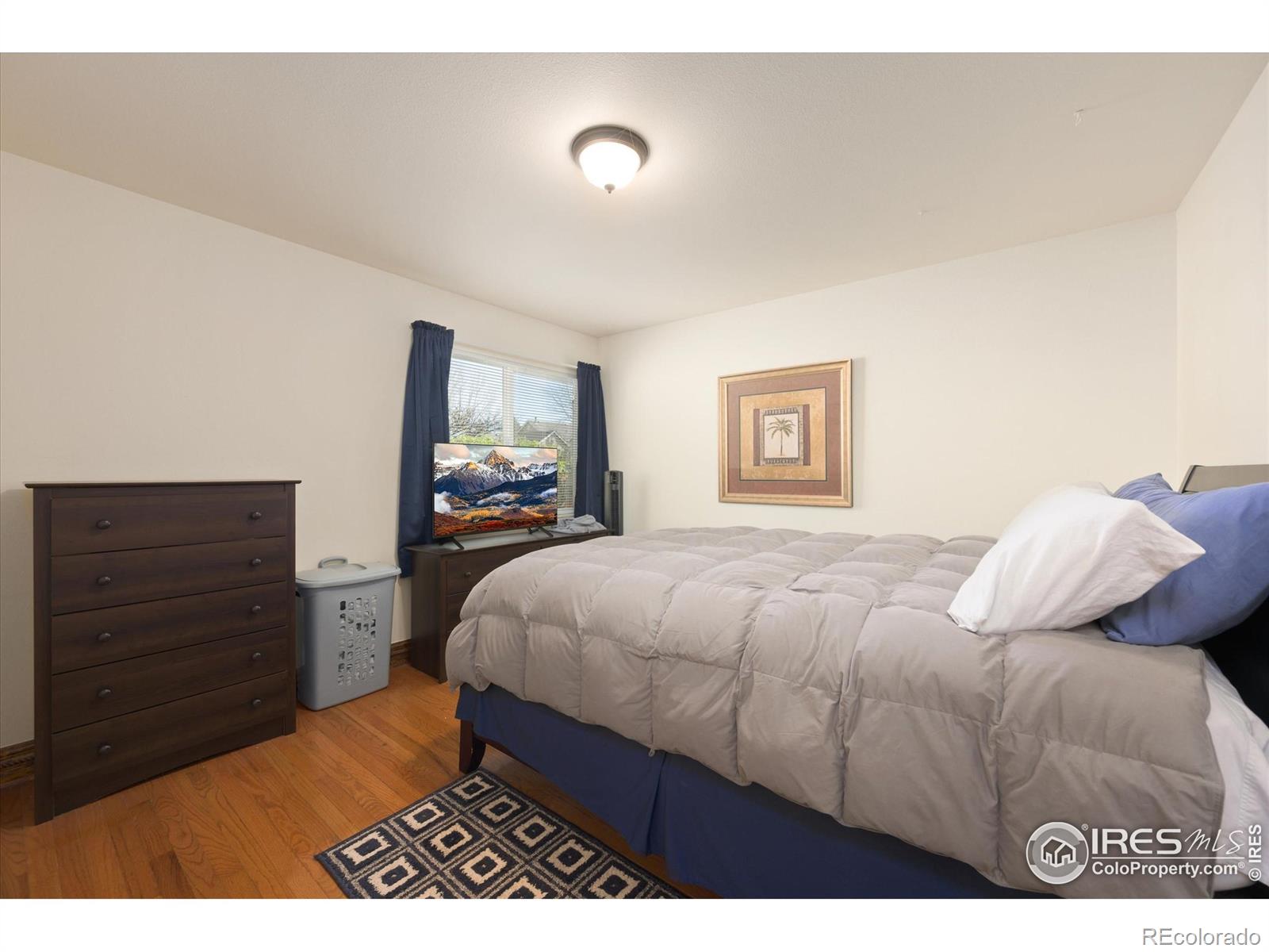 MLS Image #16 for 1020  rolland moore drive,fort collins, Colorado