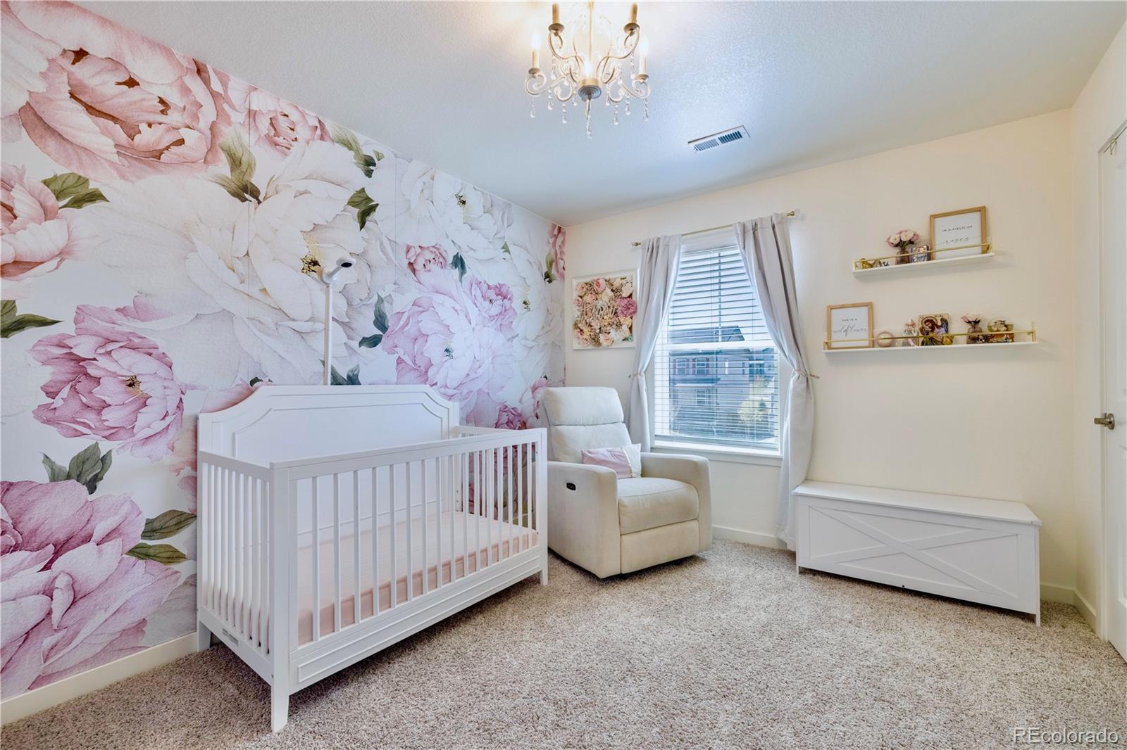 MLS Image #21 for 17341  red cosmos point,parker, Colorado