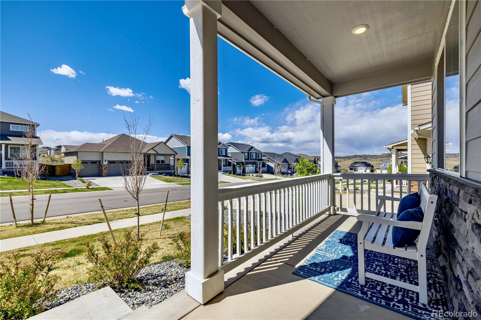 MLS Image #3 for 17341  red cosmos point,parker, Colorado