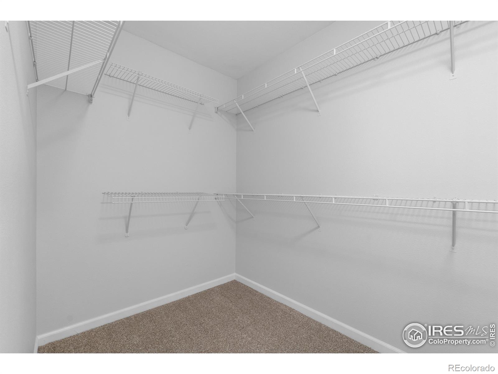 MLS Image #10 for 20336  willowbend lane,parker, Colorado