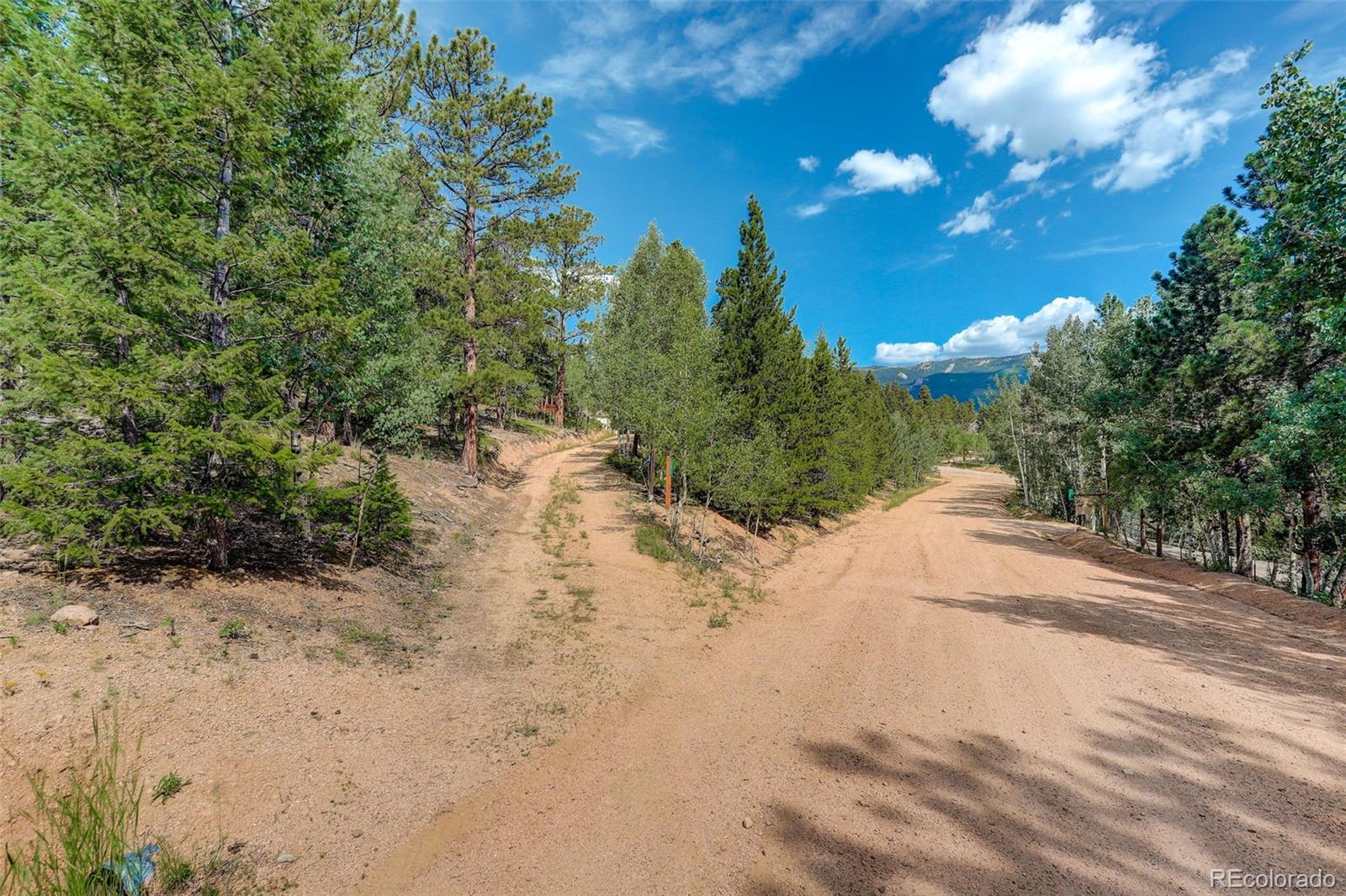 MLS Image #42 for 77 e crosscut ,bailey, Colorado