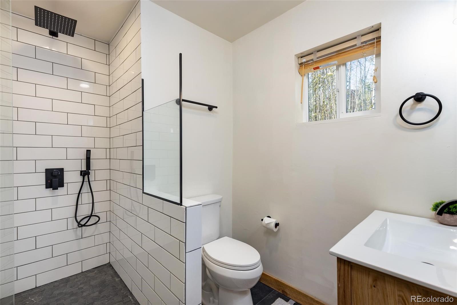 MLS Image #9 for 4706  cr-1 ,fairplay, Colorado