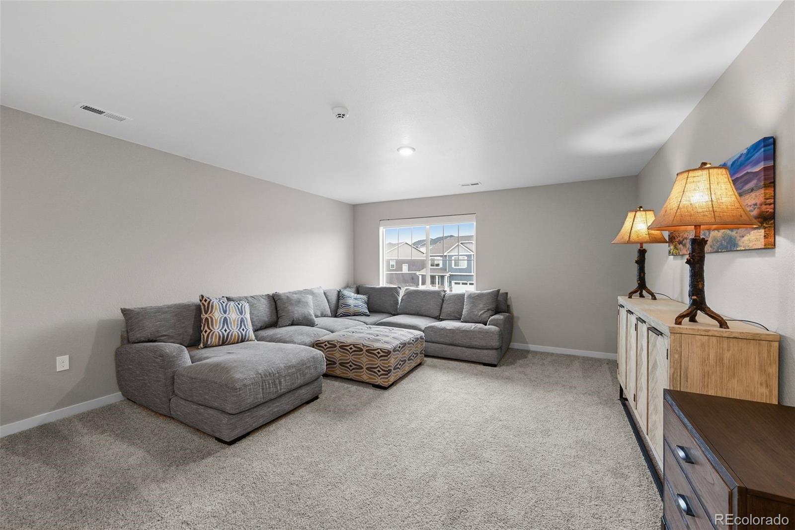 MLS Image #10 for 17311  rose mallow street,parker, Colorado