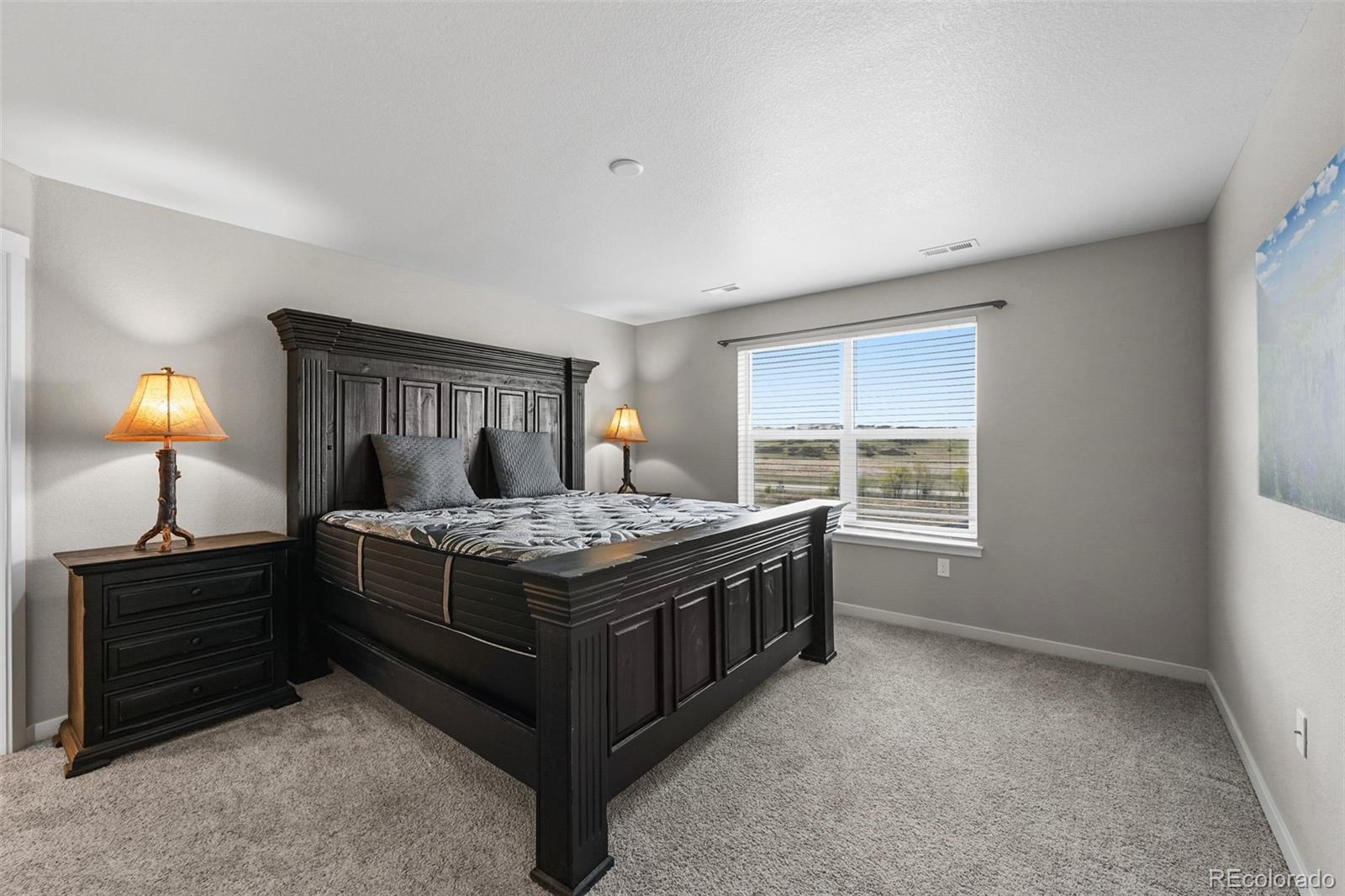 MLS Image #12 for 17311  rose mallow street,parker, Colorado