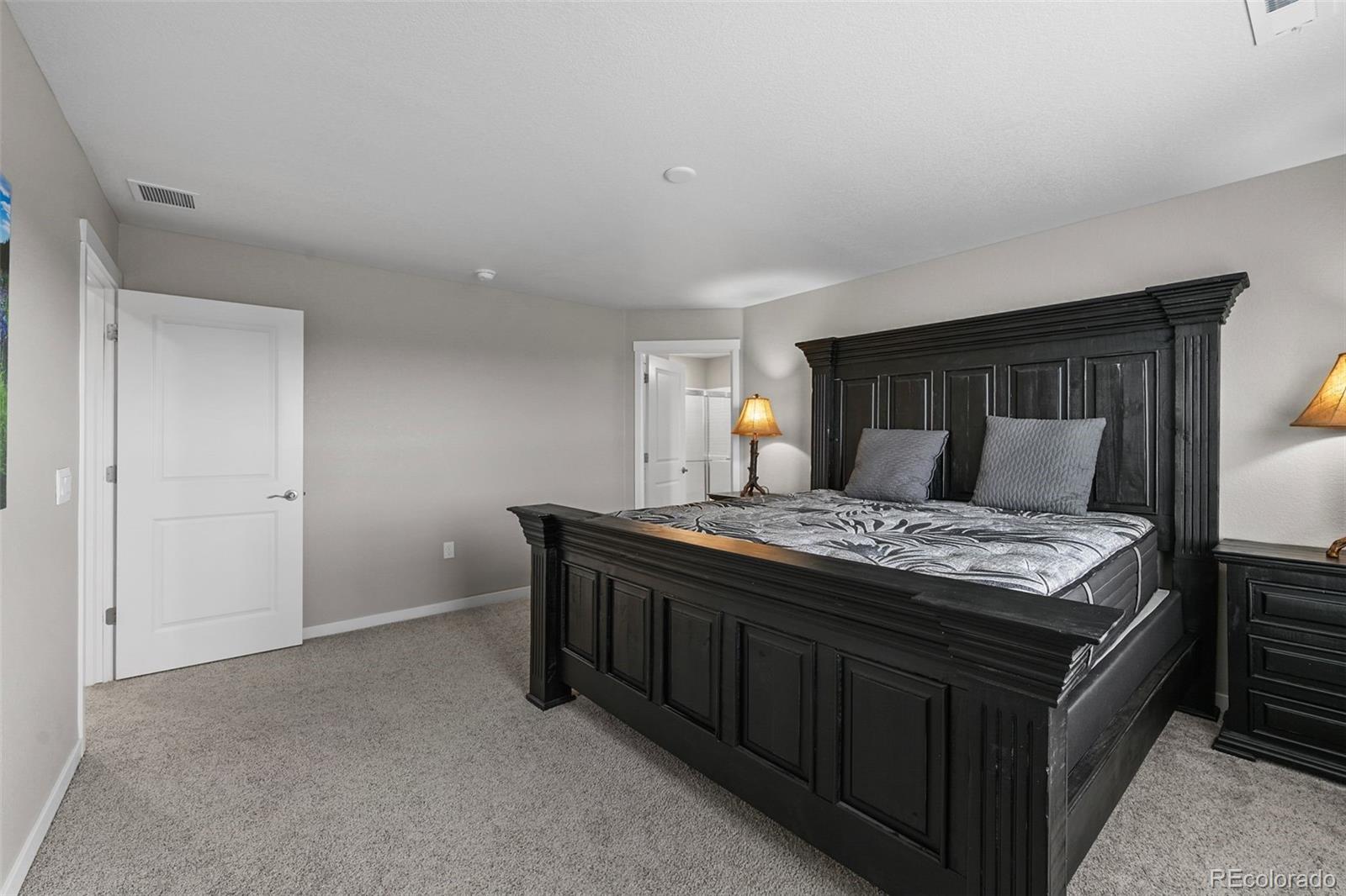 MLS Image #13 for 17311  rose mallow street,parker, Colorado